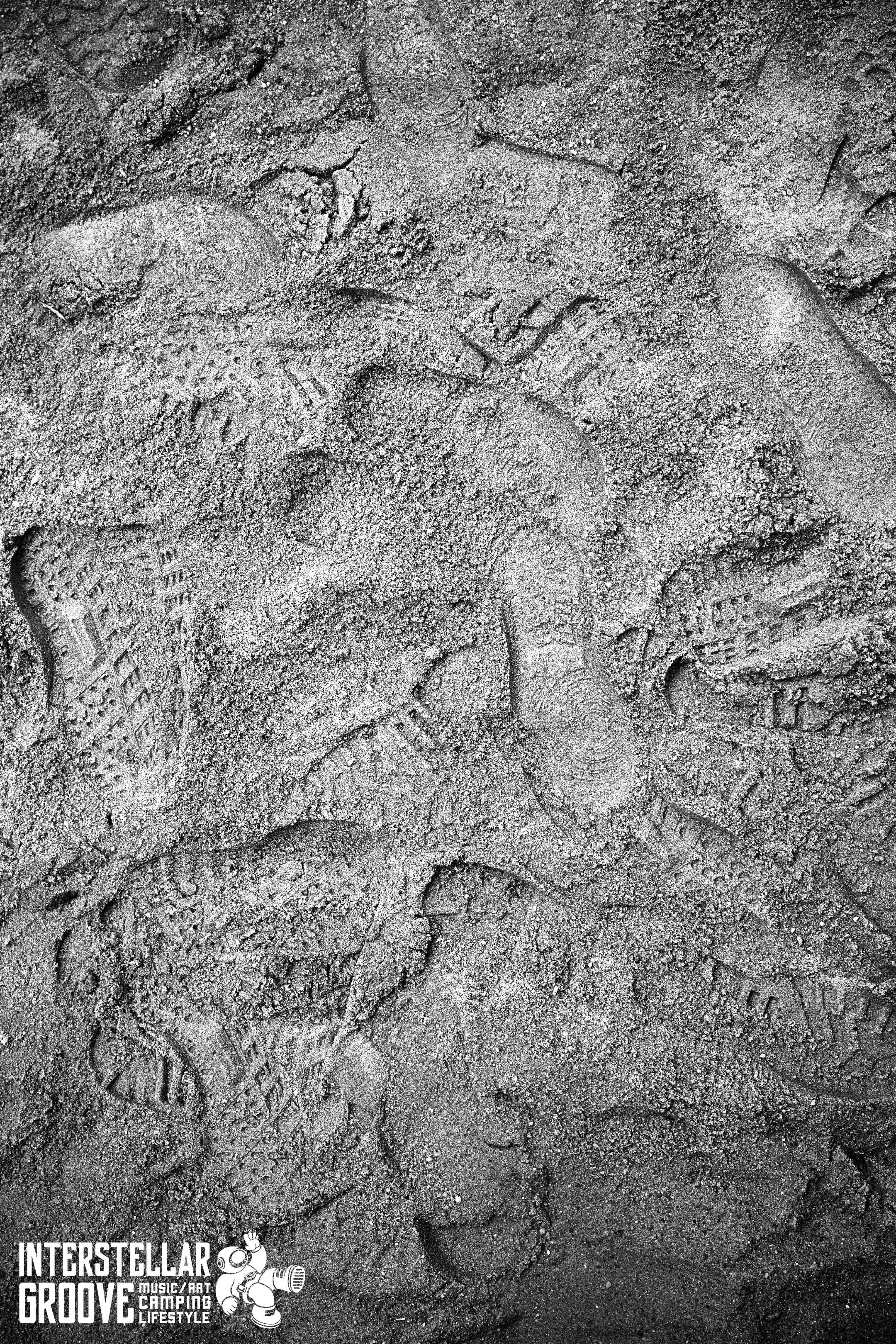 Interstella-Grooves_Finals_Pickupjosh 18.jpg