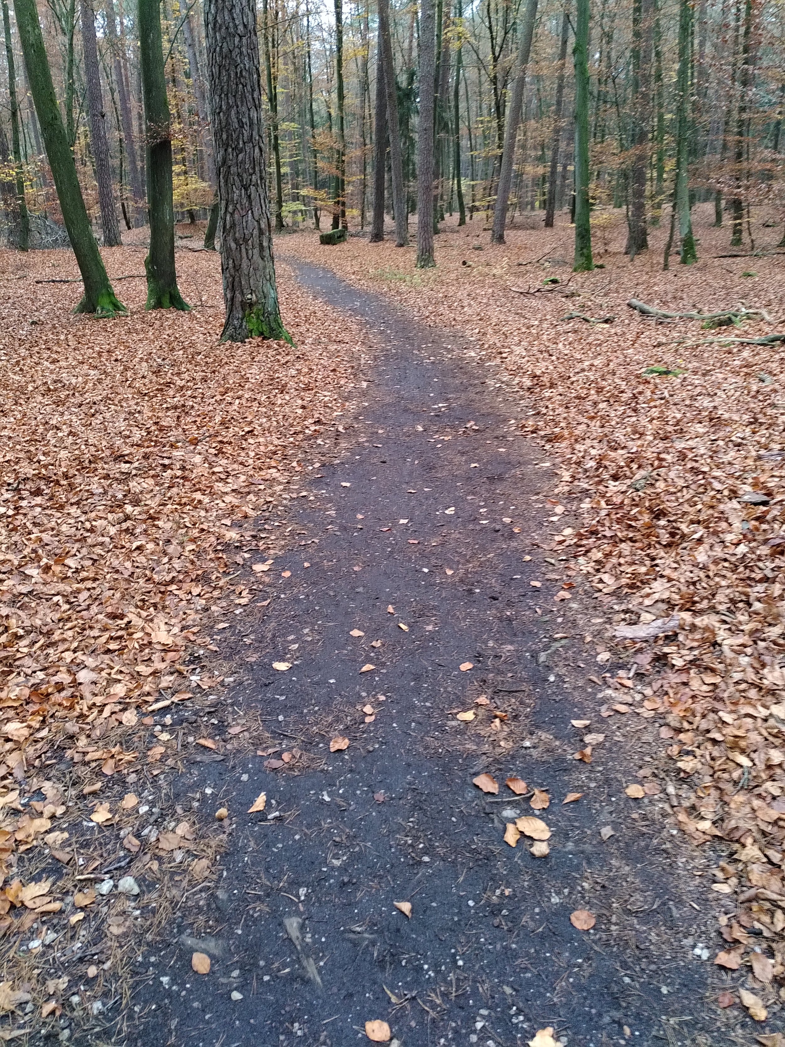 IMG_20211114_145944.jpg