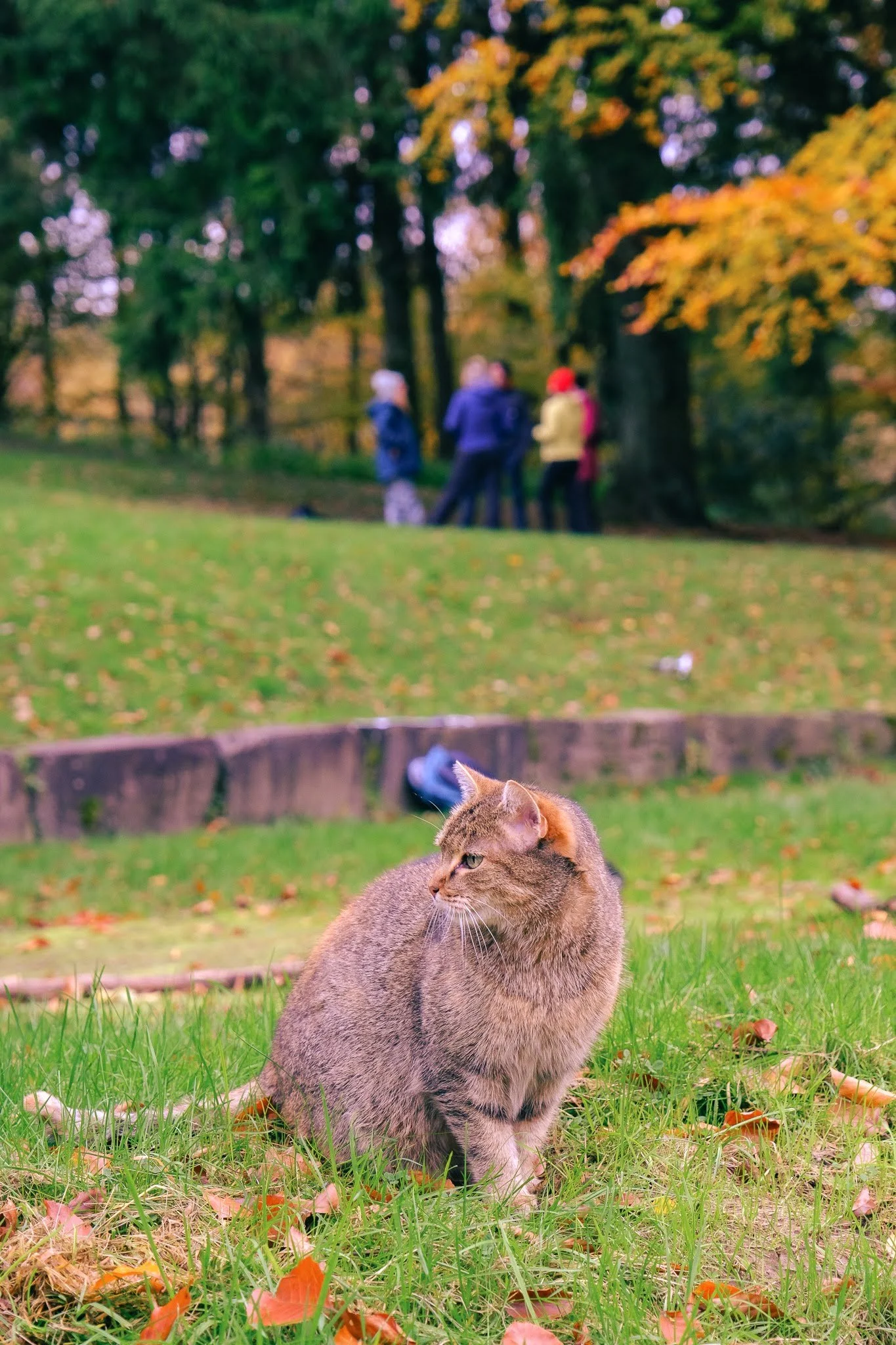 DSCF8393.jpg