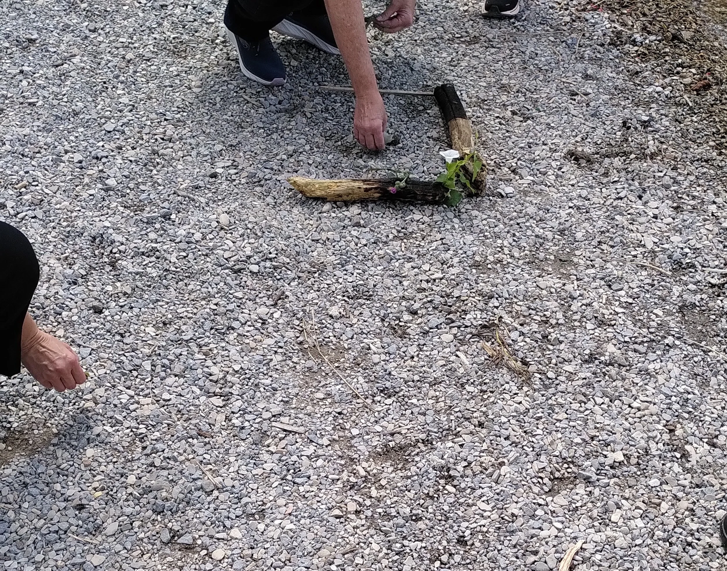IMG_20260707_141326.jpg
