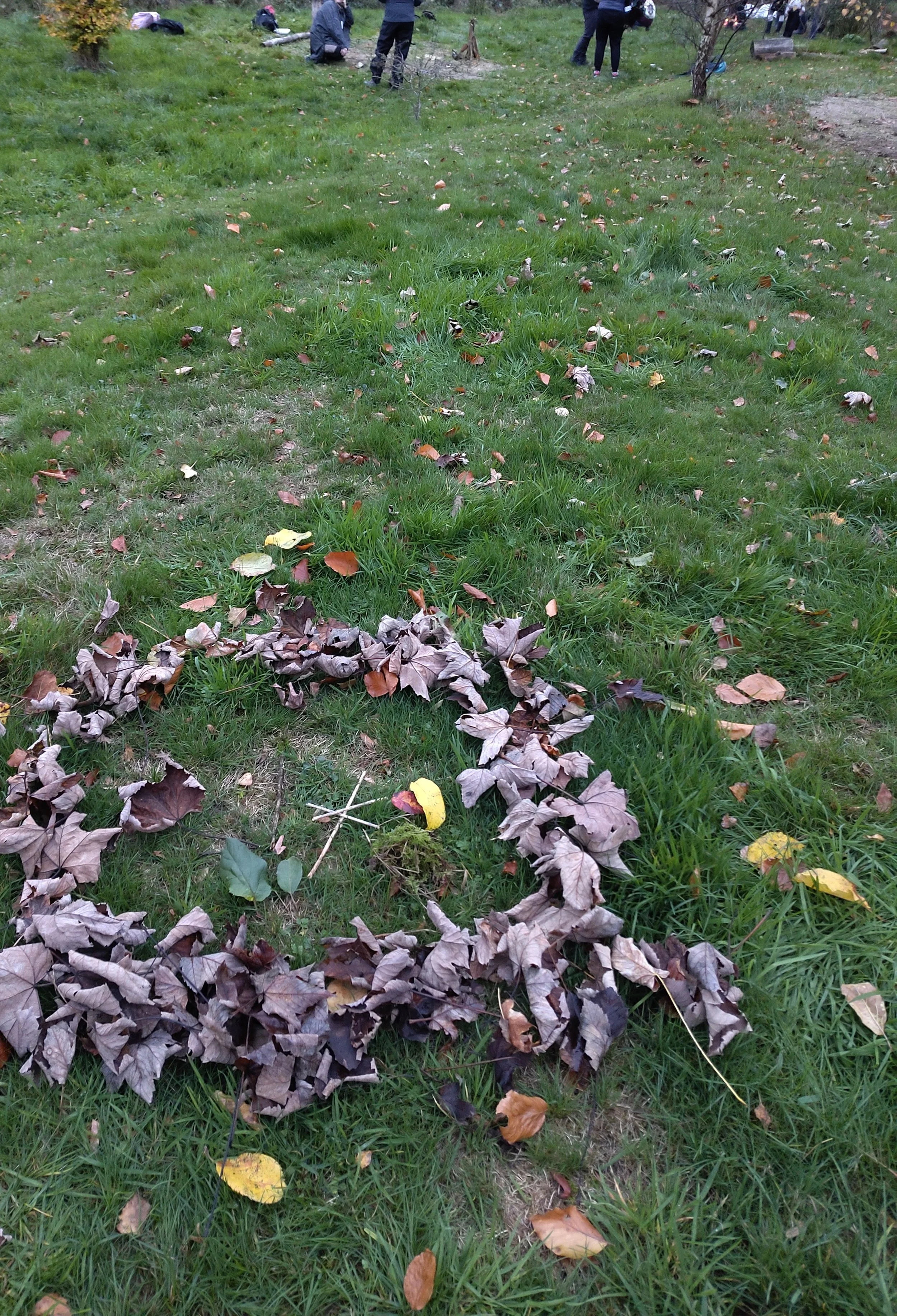 IMG_20251031_171634.jpg