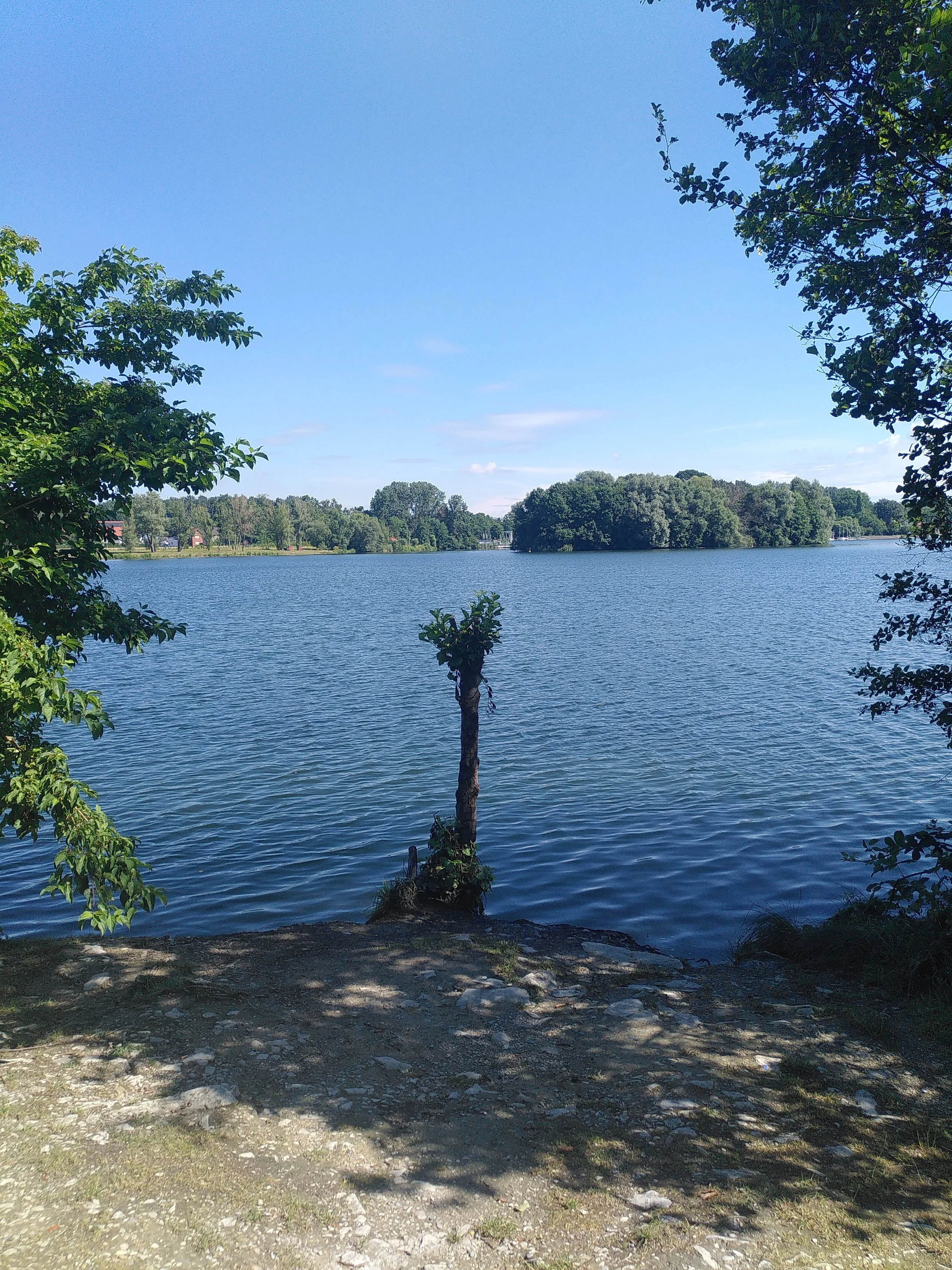 IMG_20260701_103738.jpg