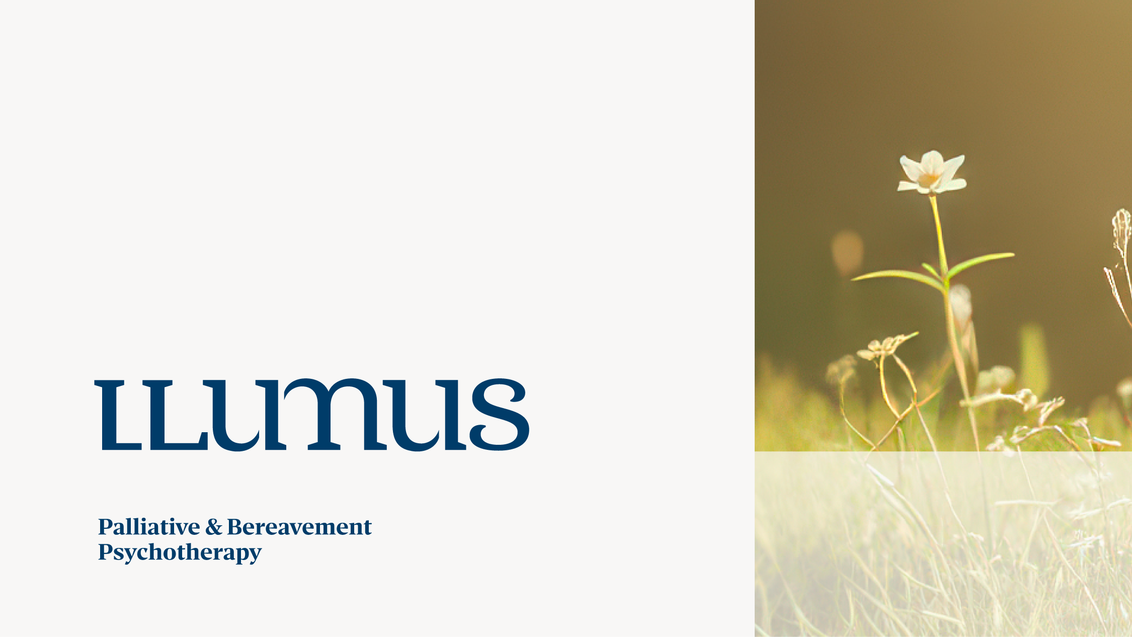 LLUMUS