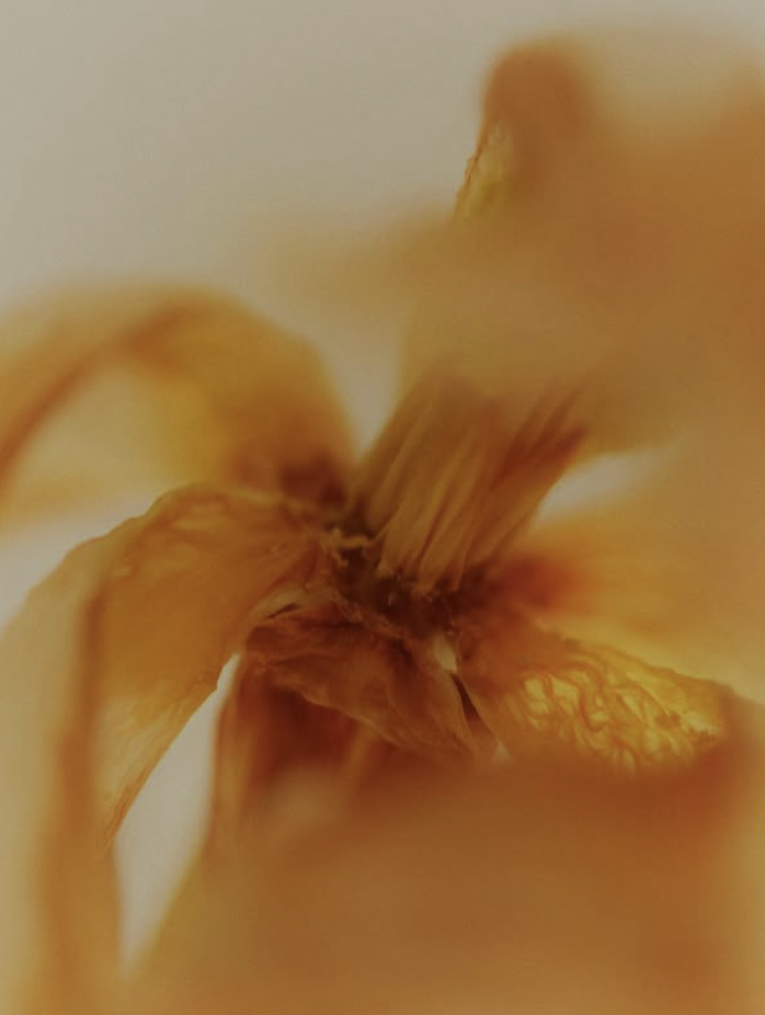 How Independent Hotels Can Win MoreDirectBookings in 2026 (Without Spending More on OTAs