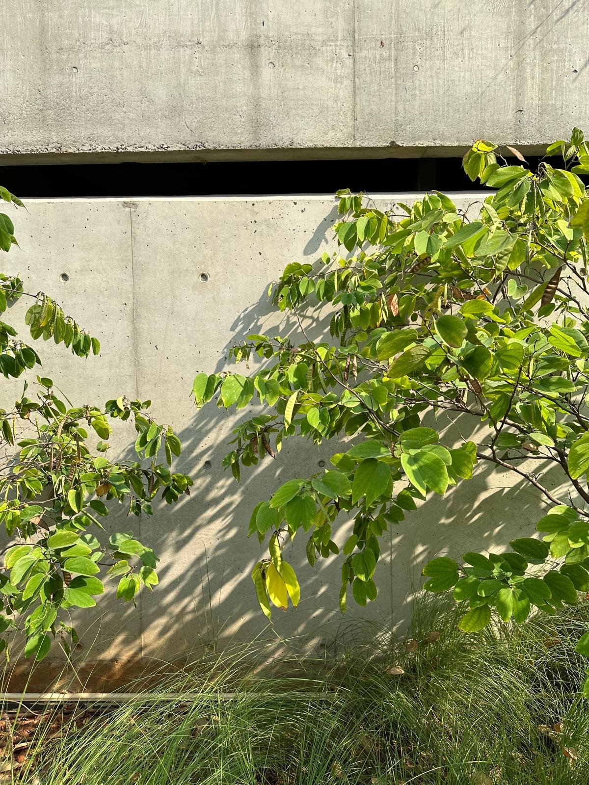 WhatsApp Image 2025-07-11 at 5.53.49 PM (1).jpeg