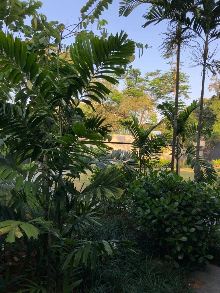 WhatsApp Image 2023-12-27 at 6.18.42 PM (8).jpeg