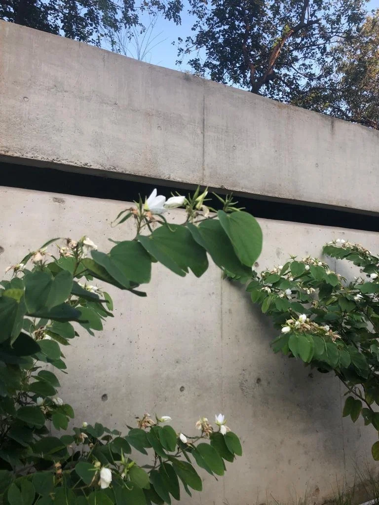 WhatsApp Image 2023-12-27 at 6.18.42 PM (10).jpeg