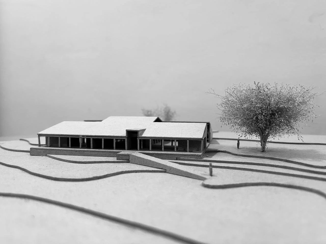 WhatsApp Image 2025-07-30 at 8.18.28 PM (1).jpeg