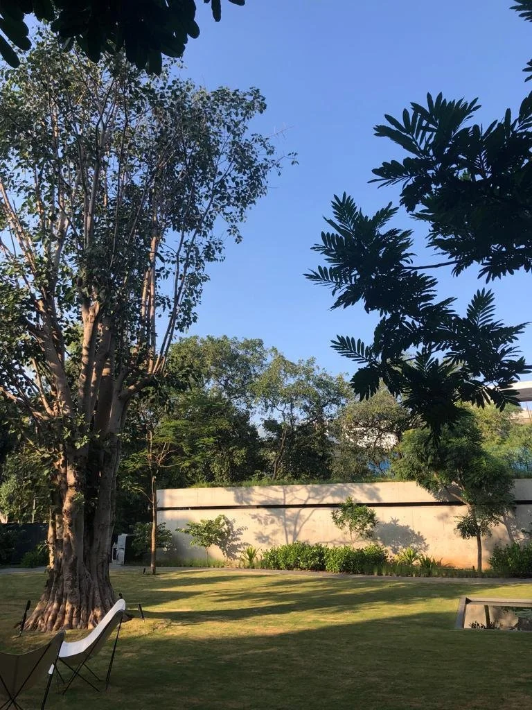 WhatsApp Image 2023-12-27 at 6.18.42 PM (5).jpeg