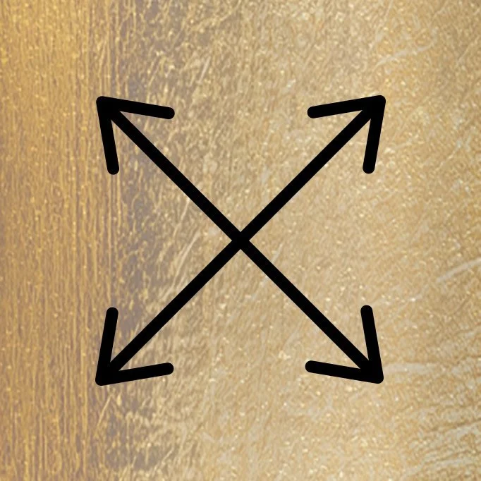 Management & Begeleiding