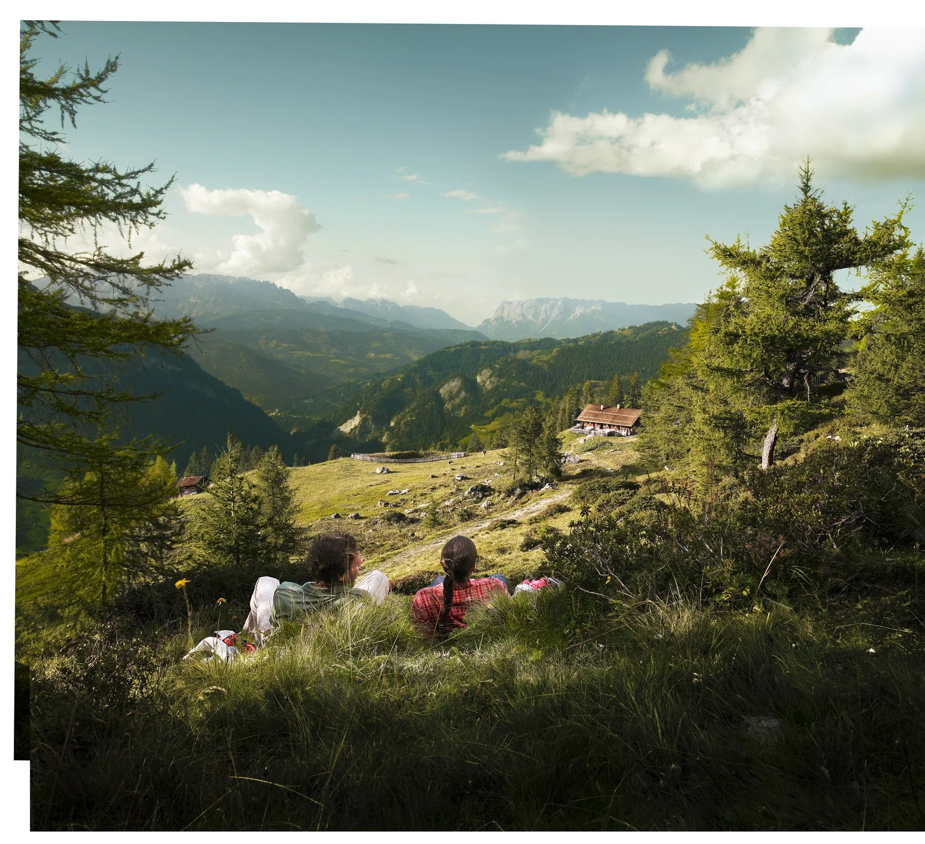 OEW_Sommer_Alm lay.jpg