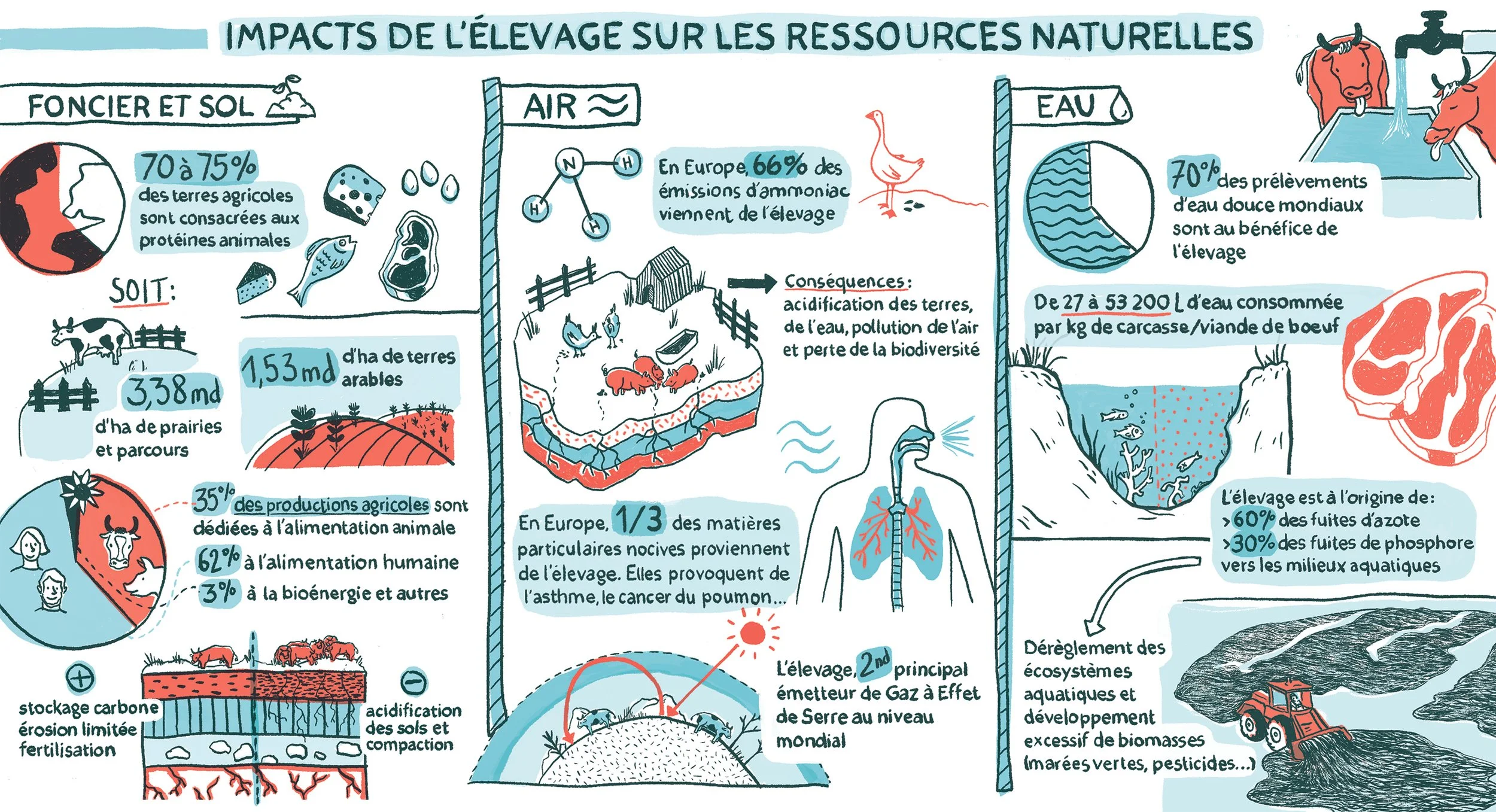 Sketchnote - Impacts of Livestock on Natural Resources