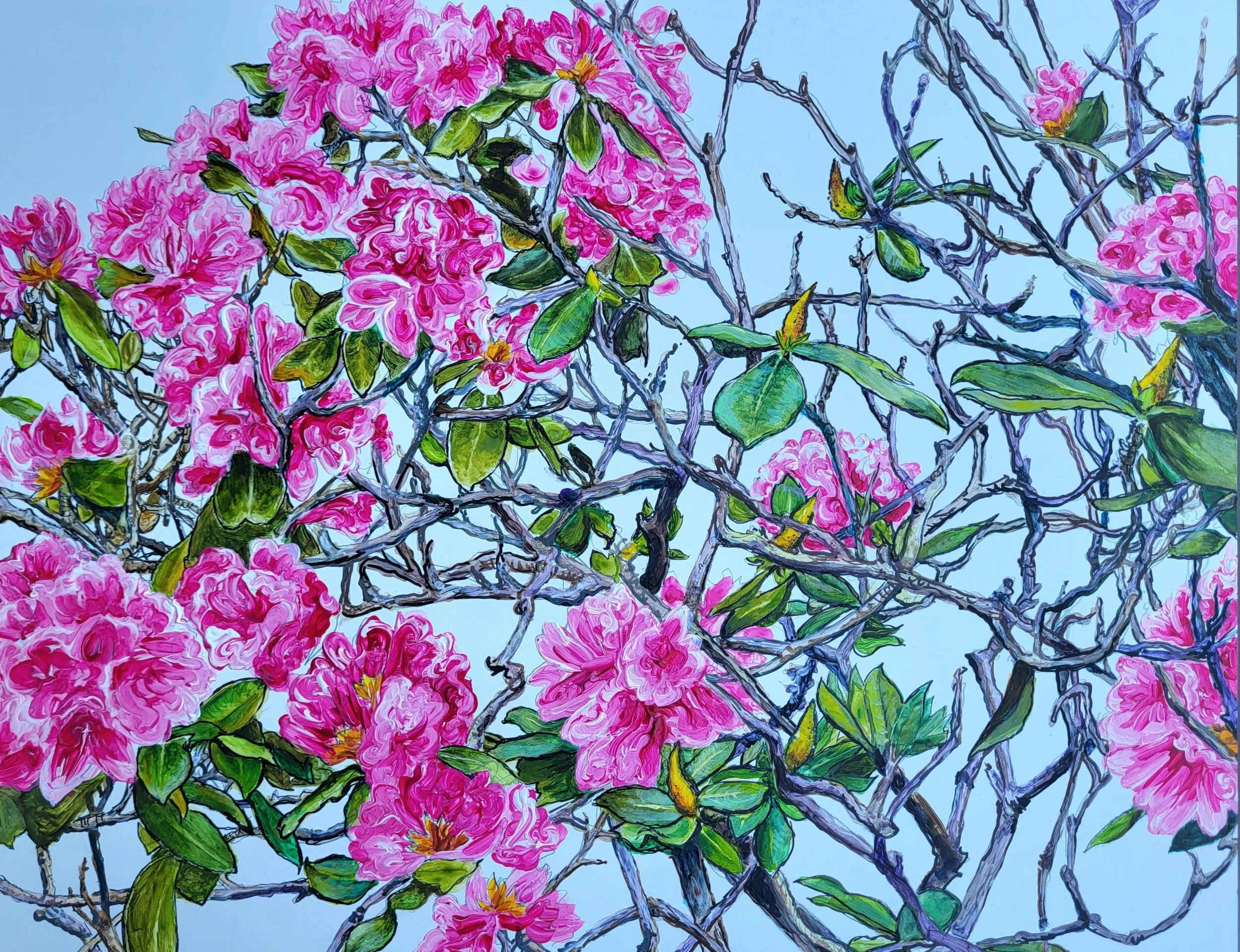 WSP blooms. Mixed media on board 30 x 40 cm