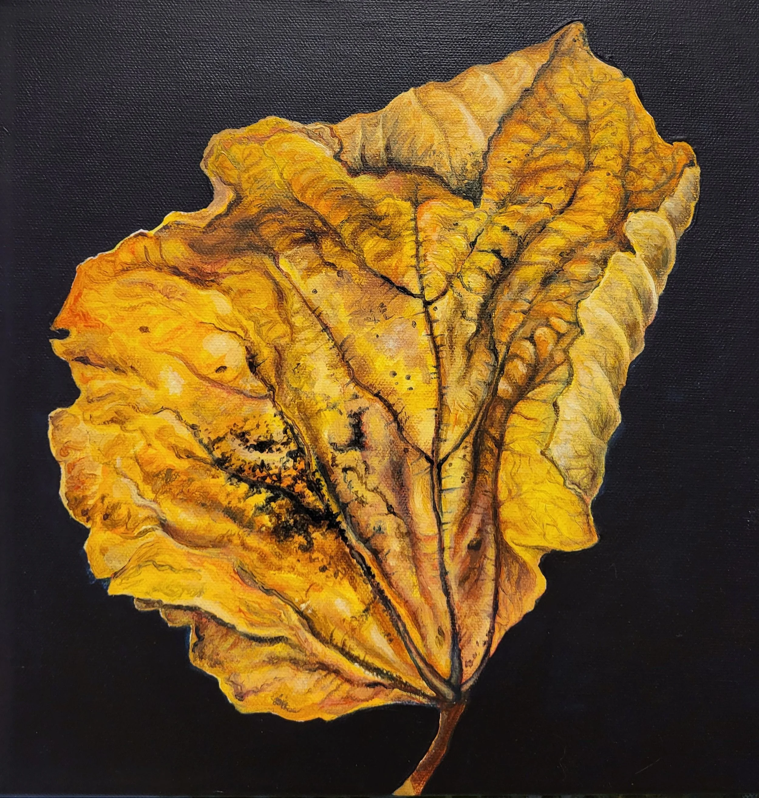 Autumn leaf, BE. Acrylic on canvas 50 x 50 cm
