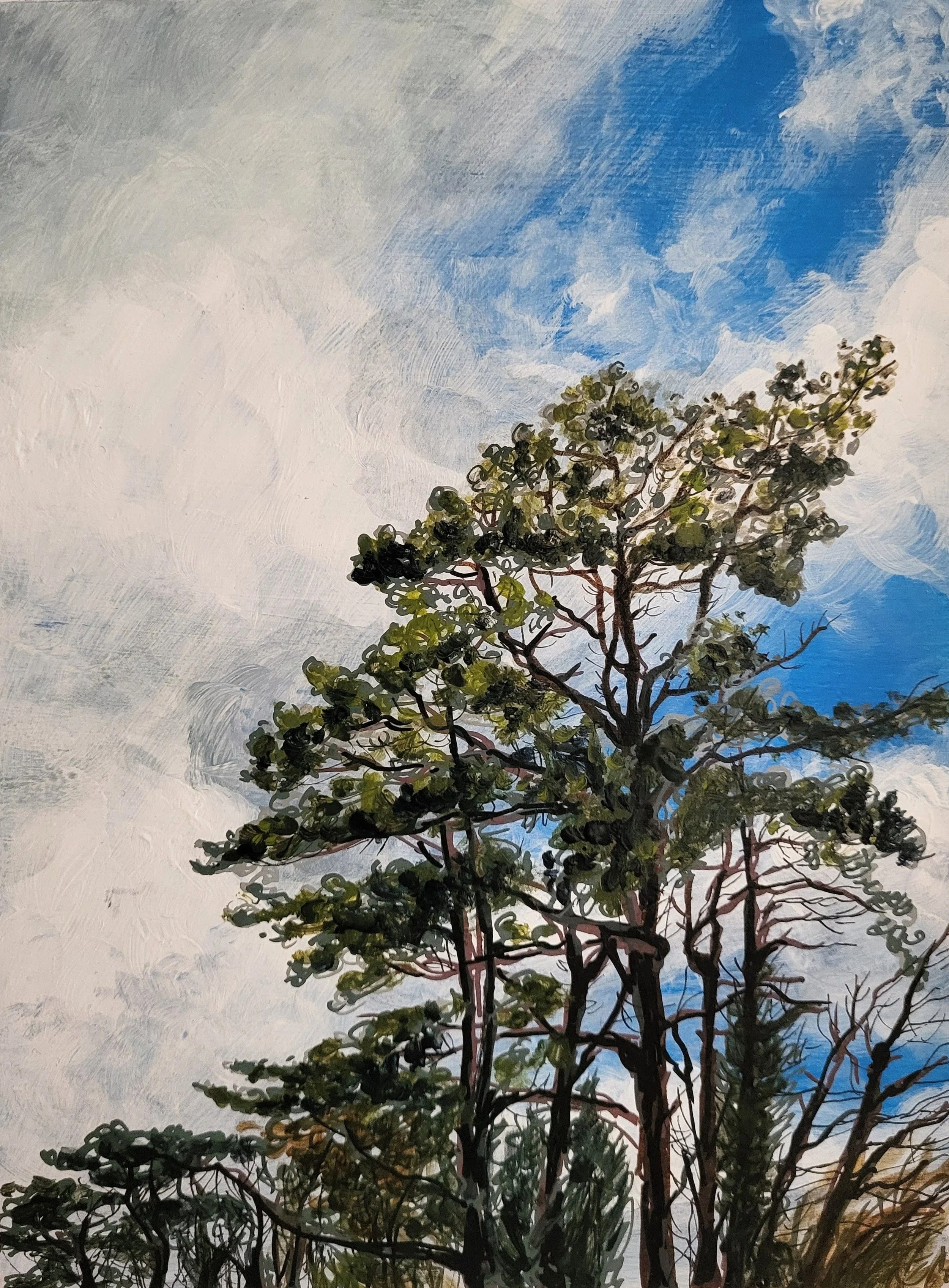 Trees, BE. Acrylic on board 30 x 20 cm