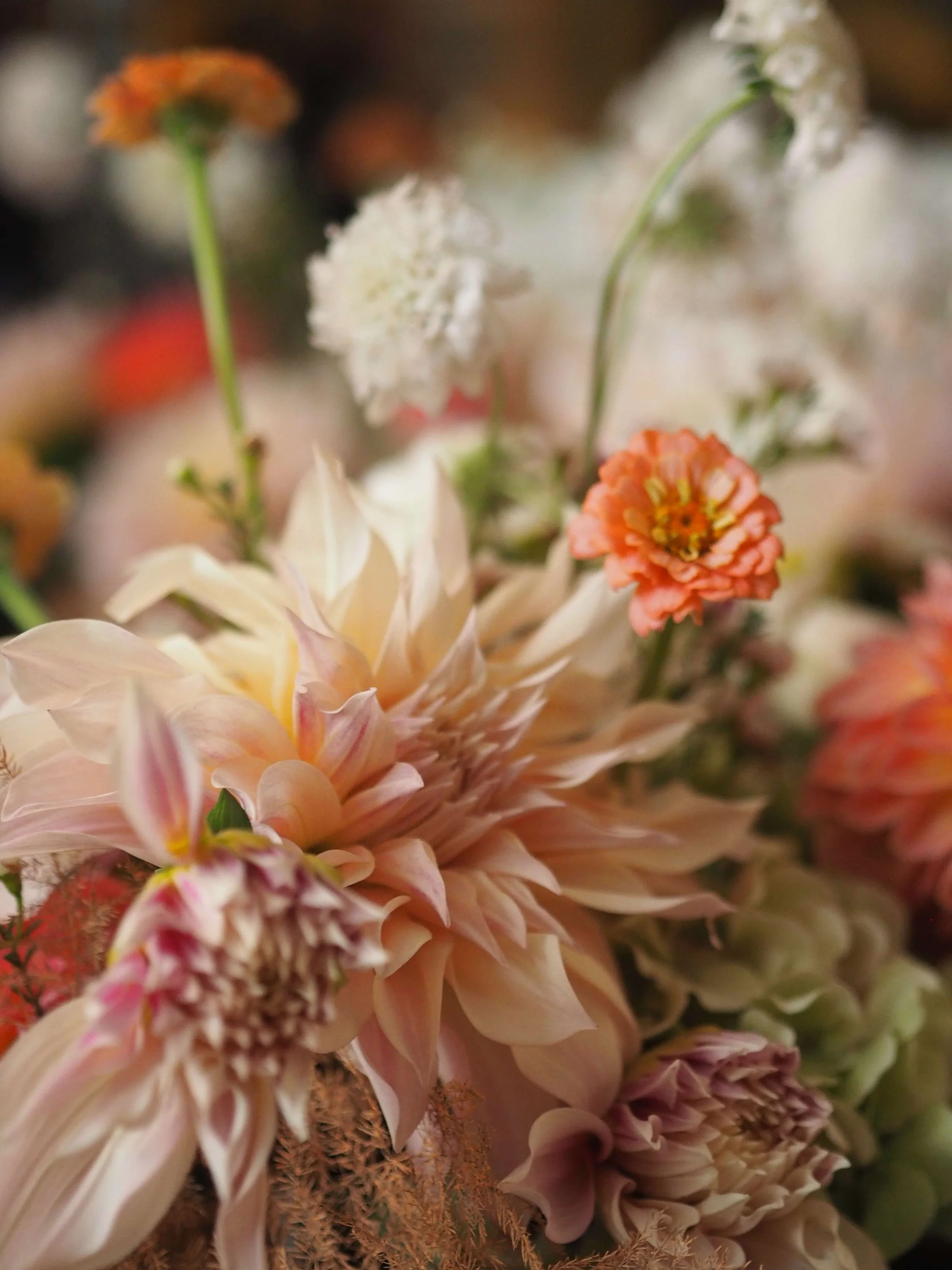 Un bouquet de fleurs avec des dahlias, des roses et d'autres fleurs colorées dans des tons pastel et crème.