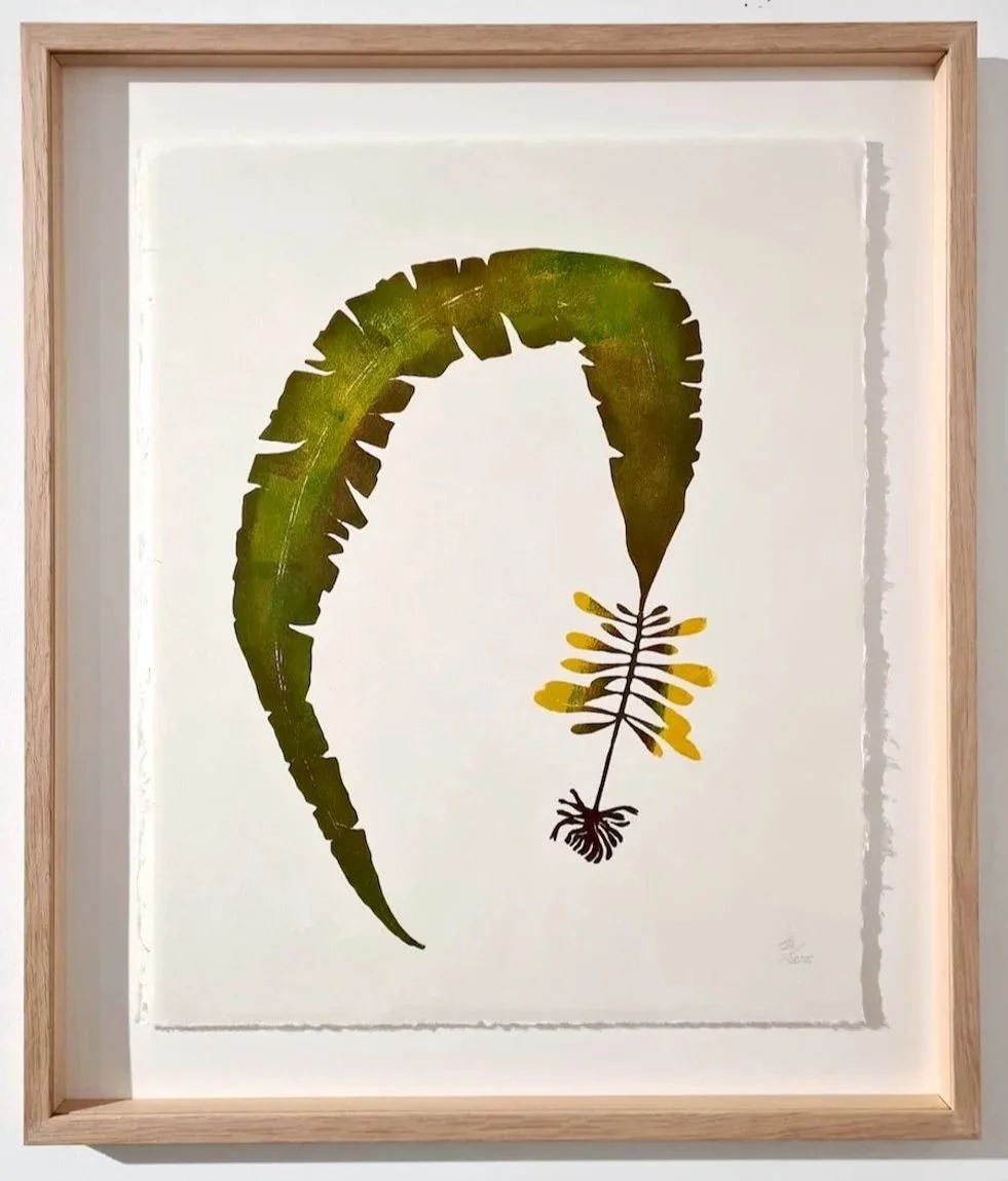 A botanical print of a curving fern frond in greens and gold, displayed in a natural oak float frame by Image Framers, Sligo