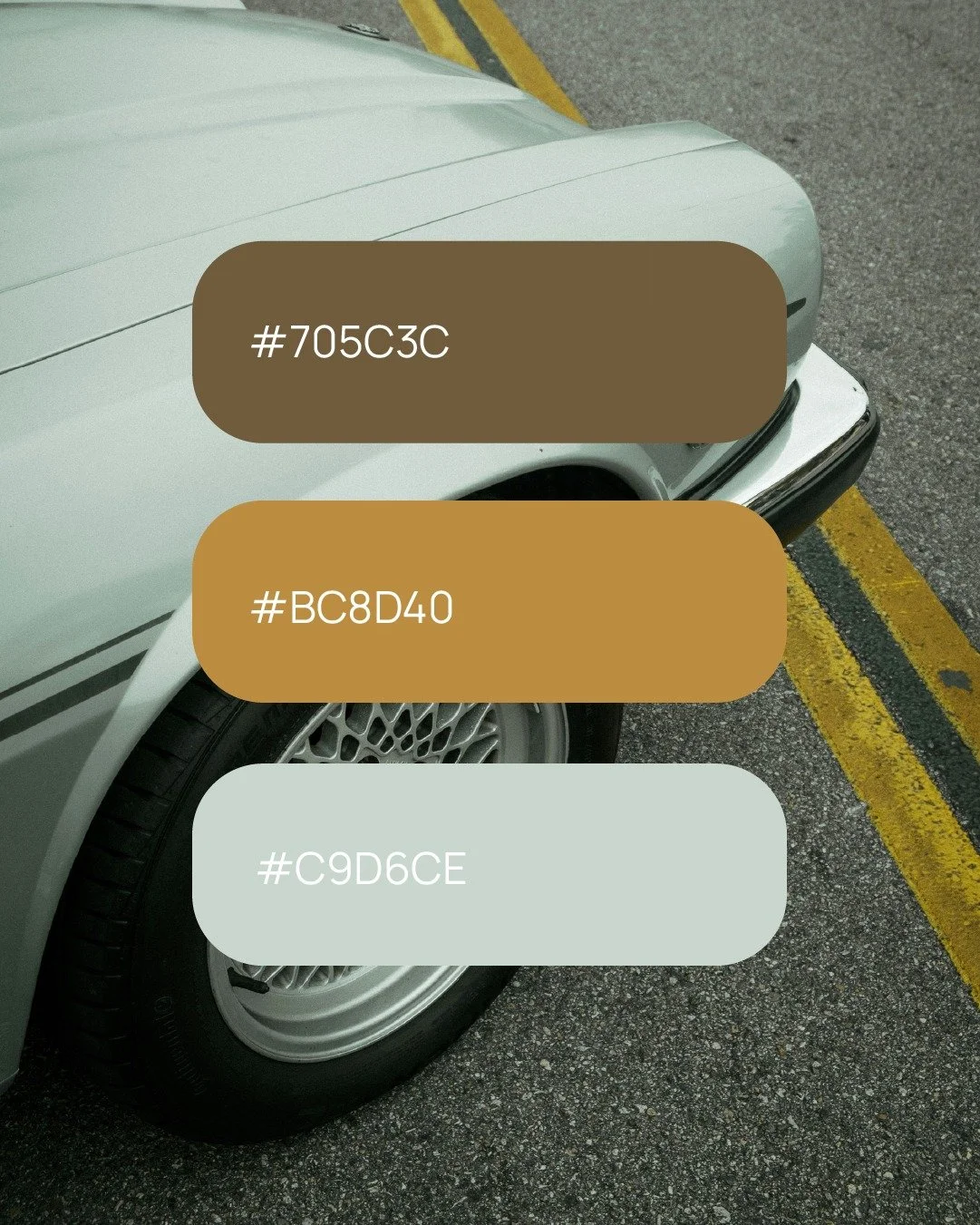 Fall color palettes hit different...

#artdirection #GreekDesigners #Design #colourpaletteinspiration