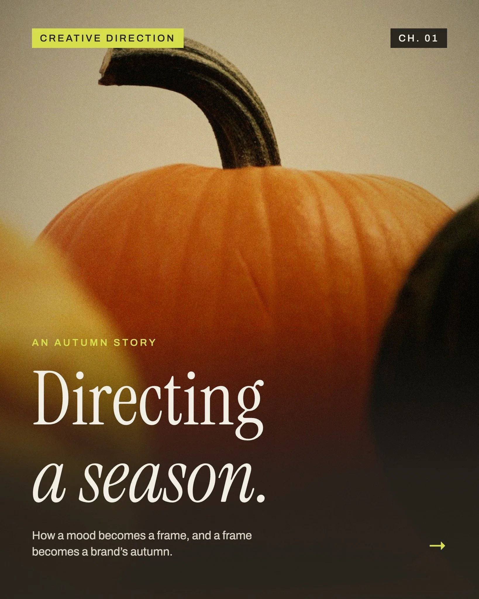 Directing a season.

Autumn comes with its own symbols. The work wasn&rsquo;t avoiding them, it was using them quietly. Because the real question was simple: how do you photograph something you can only smell?

Creative direction for @candelinas_offi