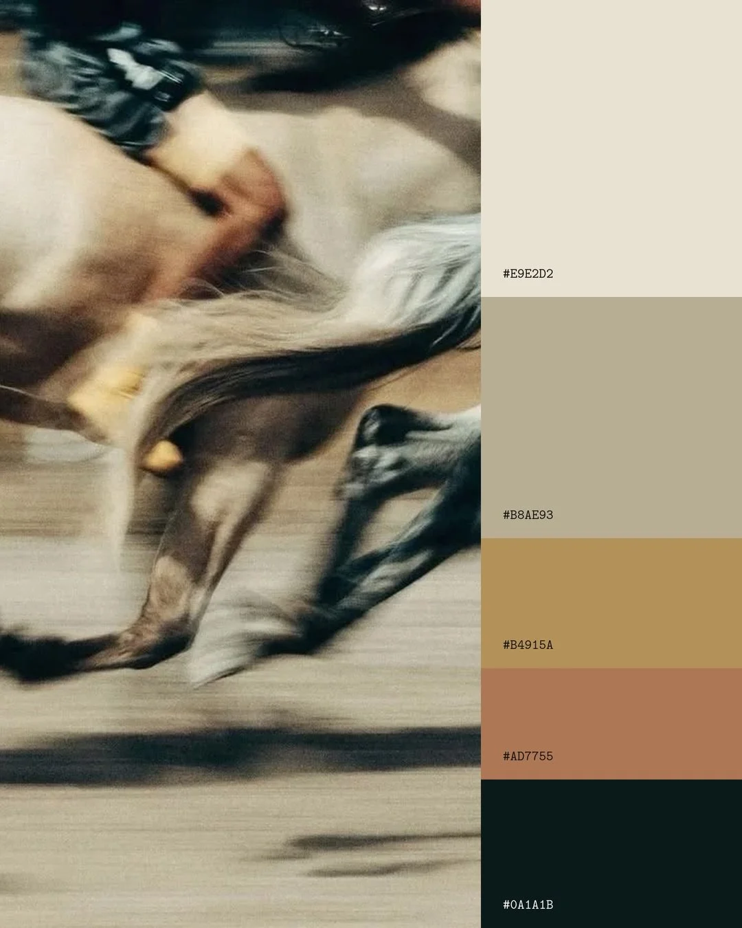 Nature doesn&rsquo;t choose colours at random.

Dust and motion. A lacquered shell. A wing on fire. A leaf that cools the light.

Four palettes, borrowed from where every good brief begins: looking closely.

Save it for your next project. &kappa;&lam