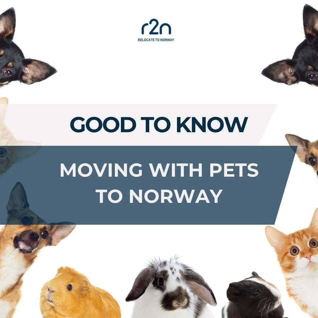 Good to know about moving with pets to Norway!

For full details and information visit www.mattilsynet.no/en

🐱🐶🐵

#movingpets #petstonorway #norway #r2n #relocatetonorway