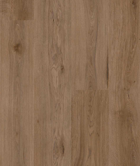 G908A Hickory Oak