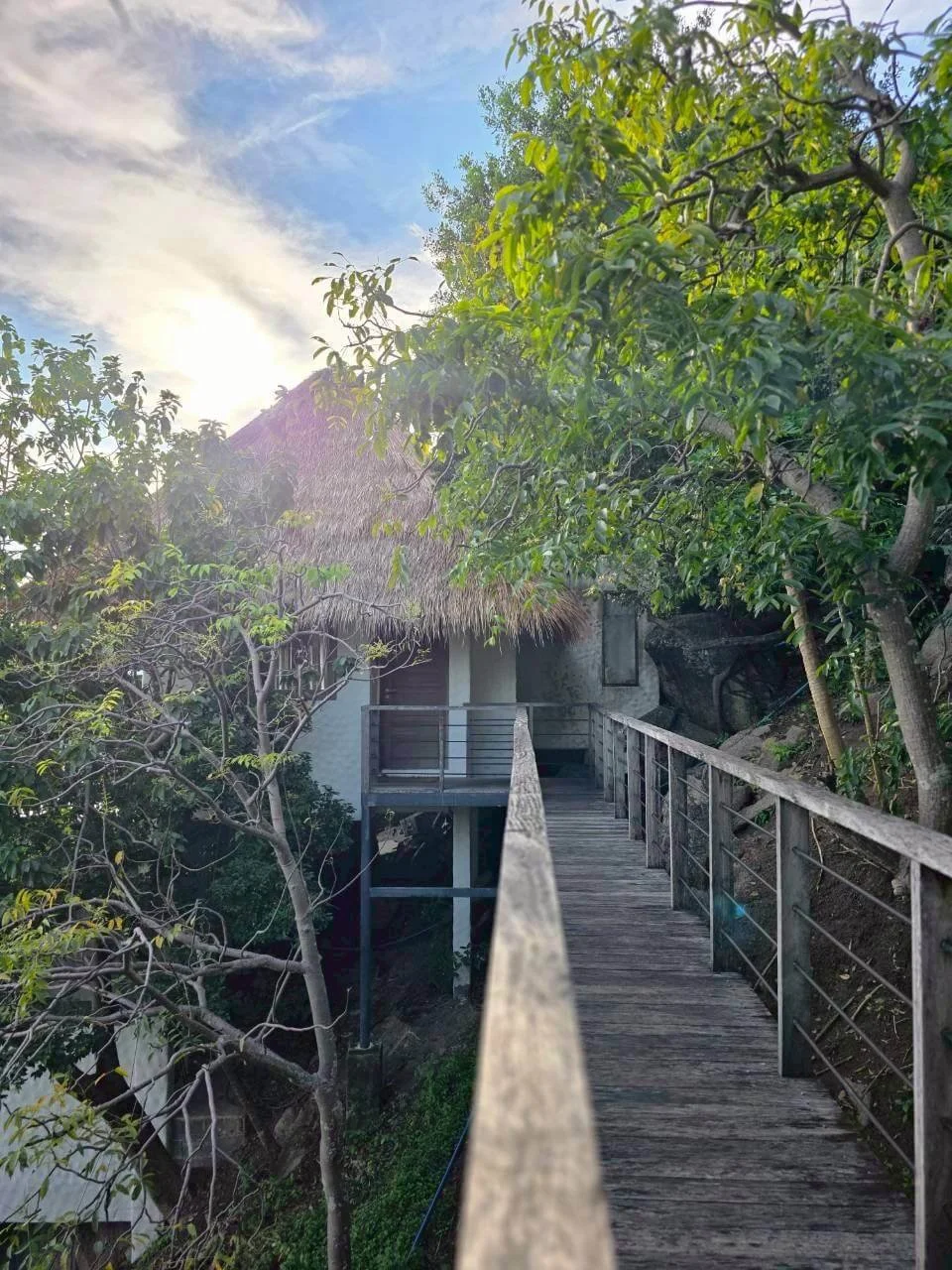 Wooden walkway through tropical jungle leading to Villa Pavana, Koh Tao Thailand