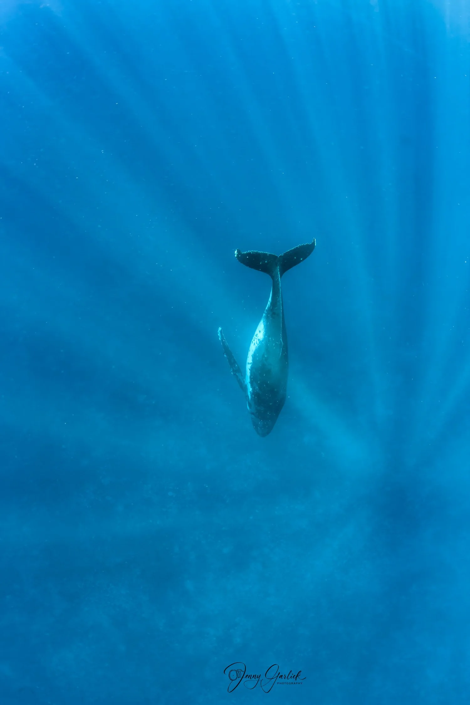 untitled shoot-173-Edit-2-Edit-Edit.jpg