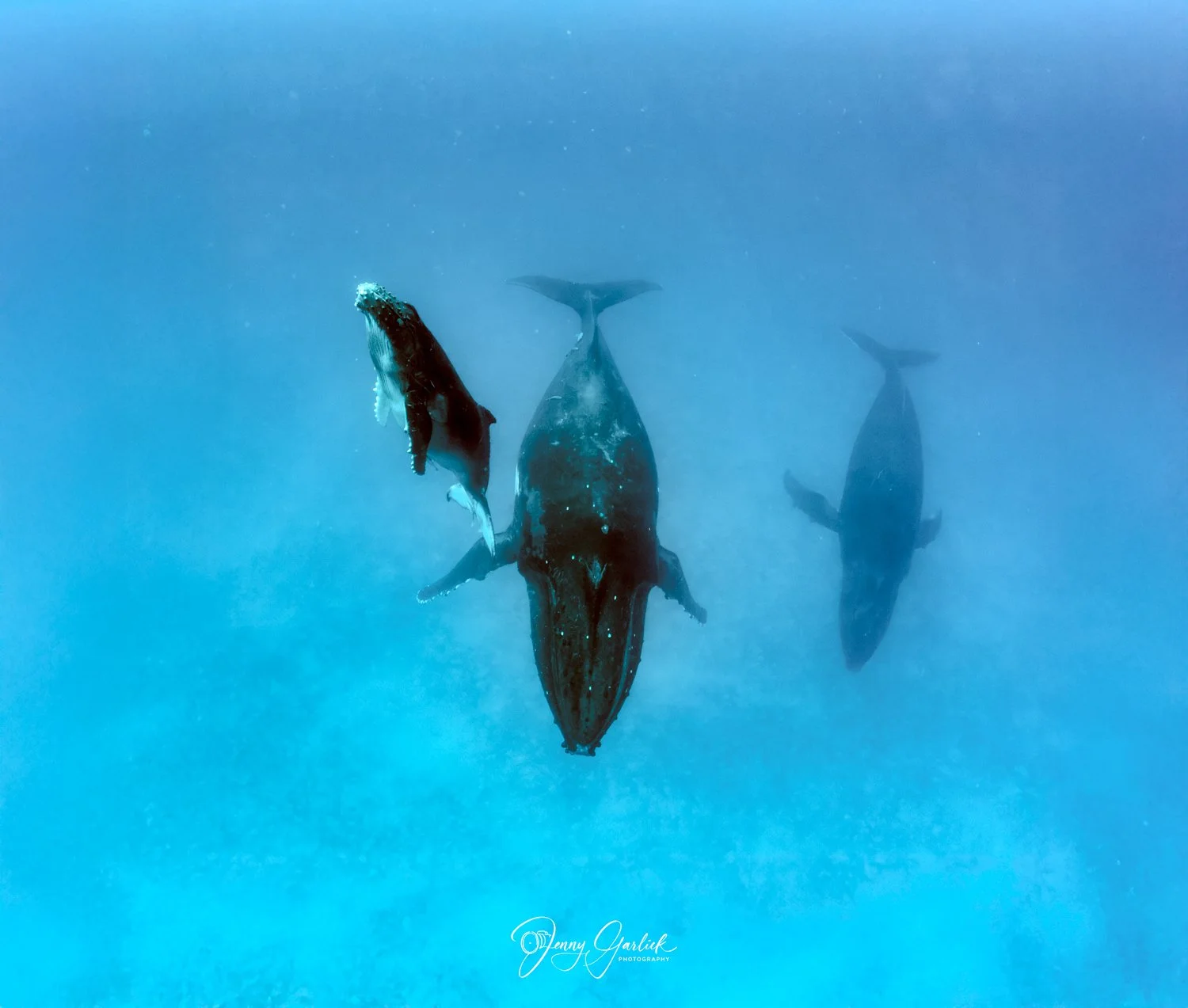 untitled shoot-113-Edit-3-Edit.jpg