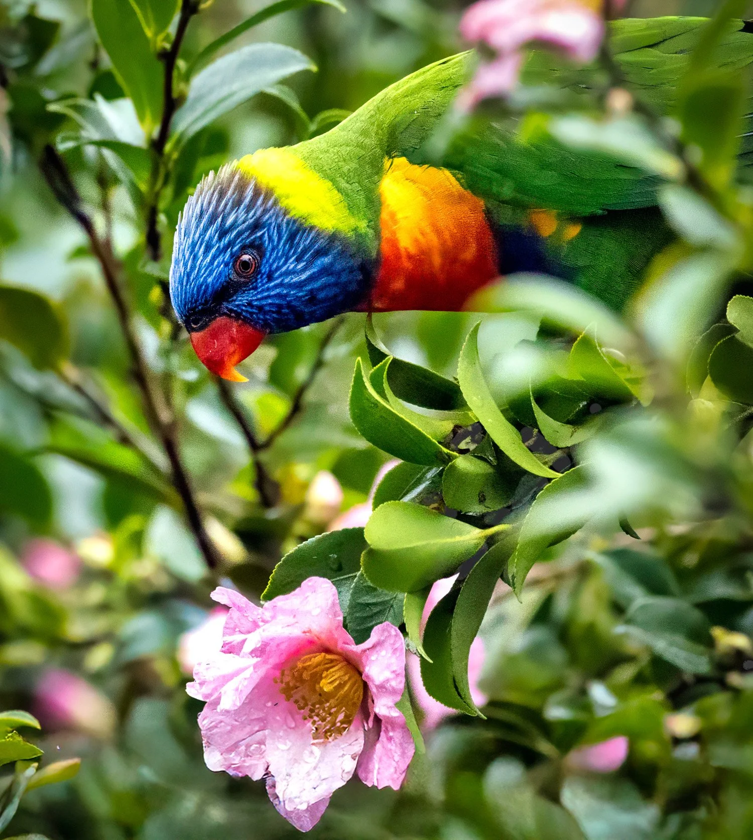 untitled (11 of 66)-Edit-Edit-9-Edit.jpg