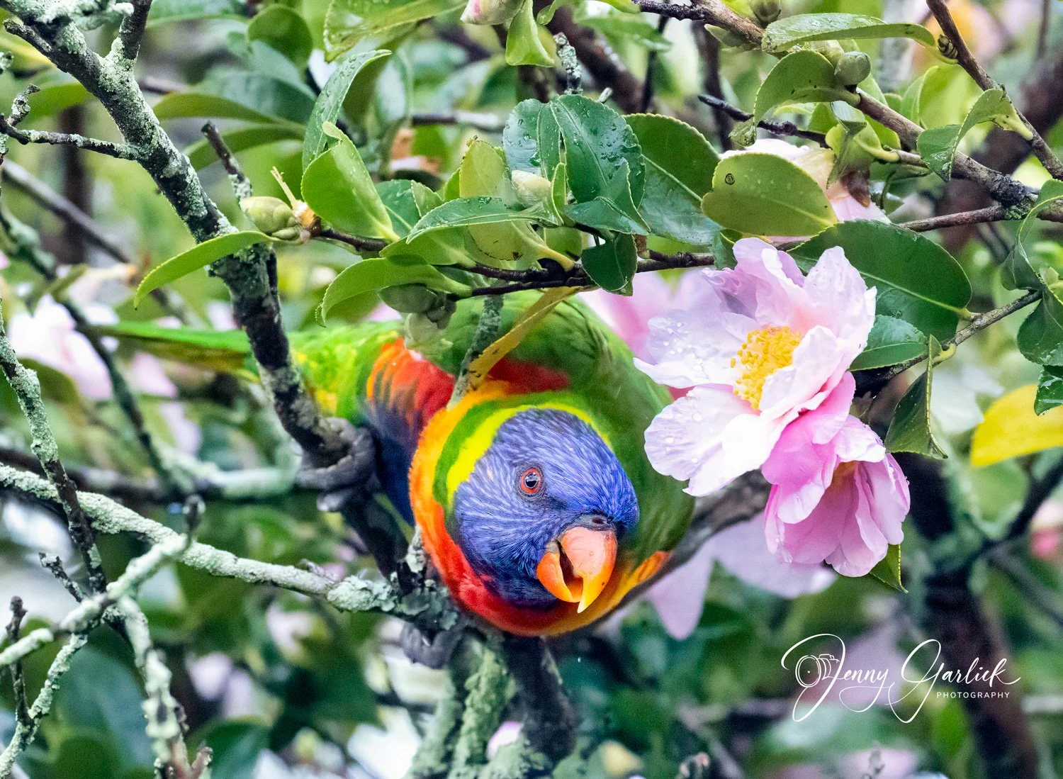 untitled (166 of 964)-Edit-Edit-Edit-2.jpg