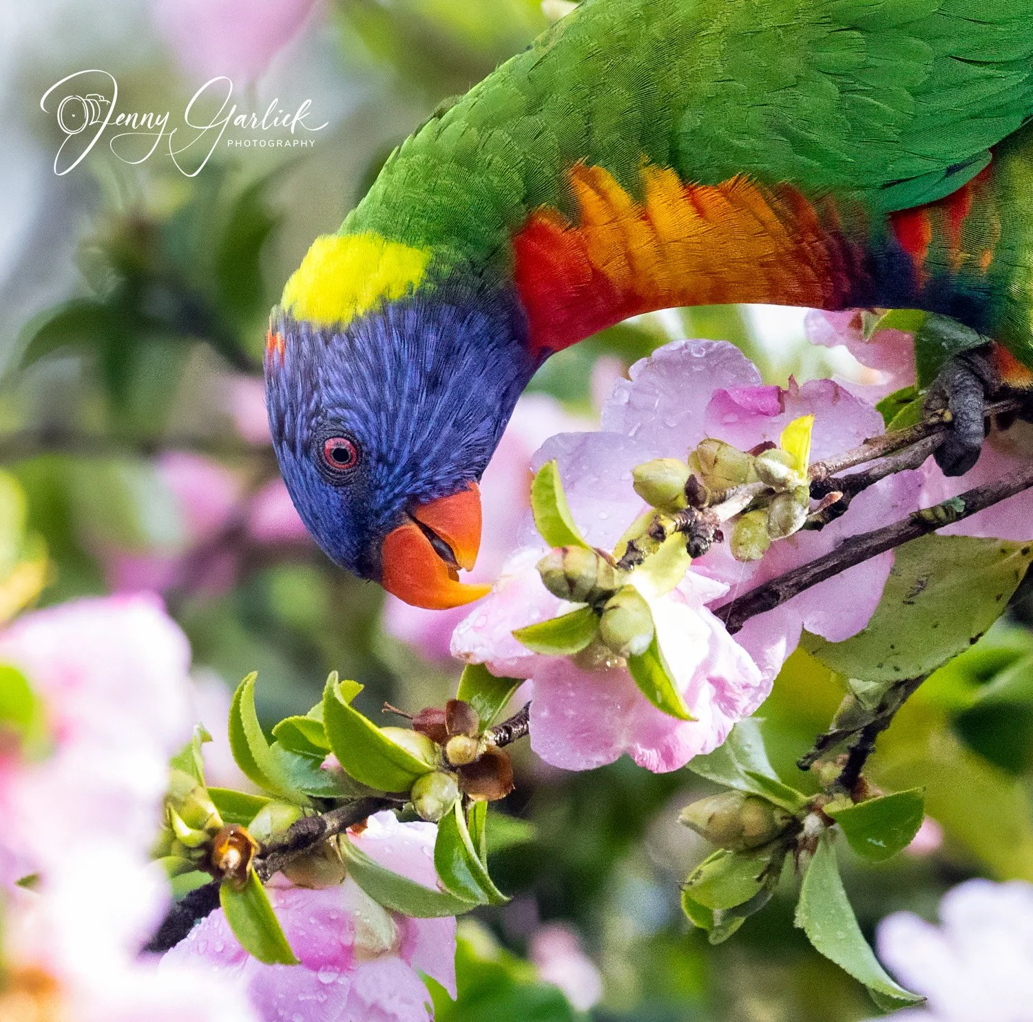 untitled (220 of 964)-Edit-Edit-2-Edit-2.jpg