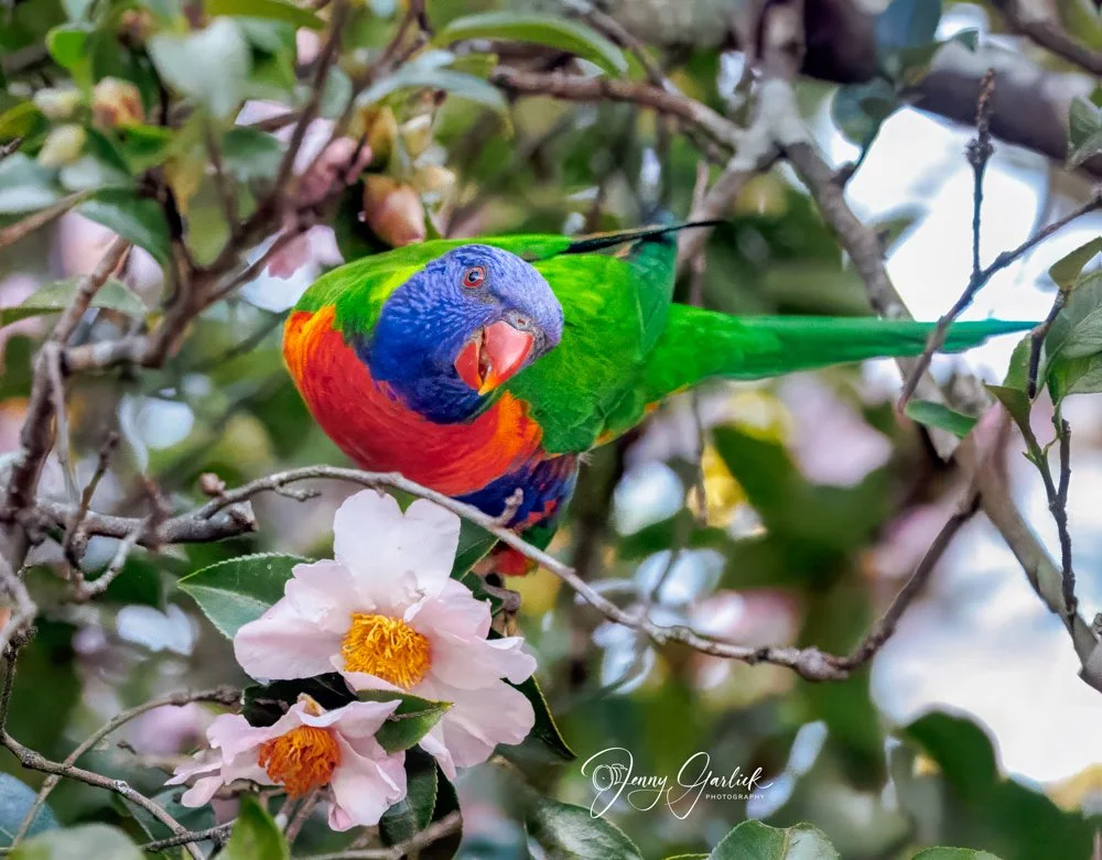 untitled (1023 of 1407)-Edit-Edit-2-Edit.jpg