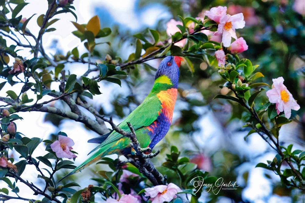 untitled (1348 of 1407)-Edit-Edit-Edit.jpg