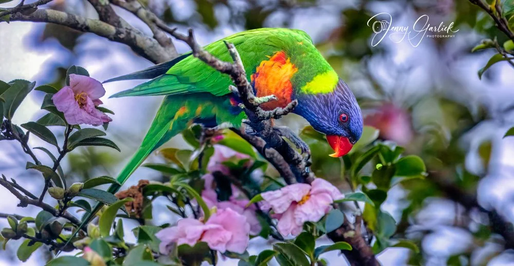 untitled (1375 of 1407)-Edit-2-Edit.jpg