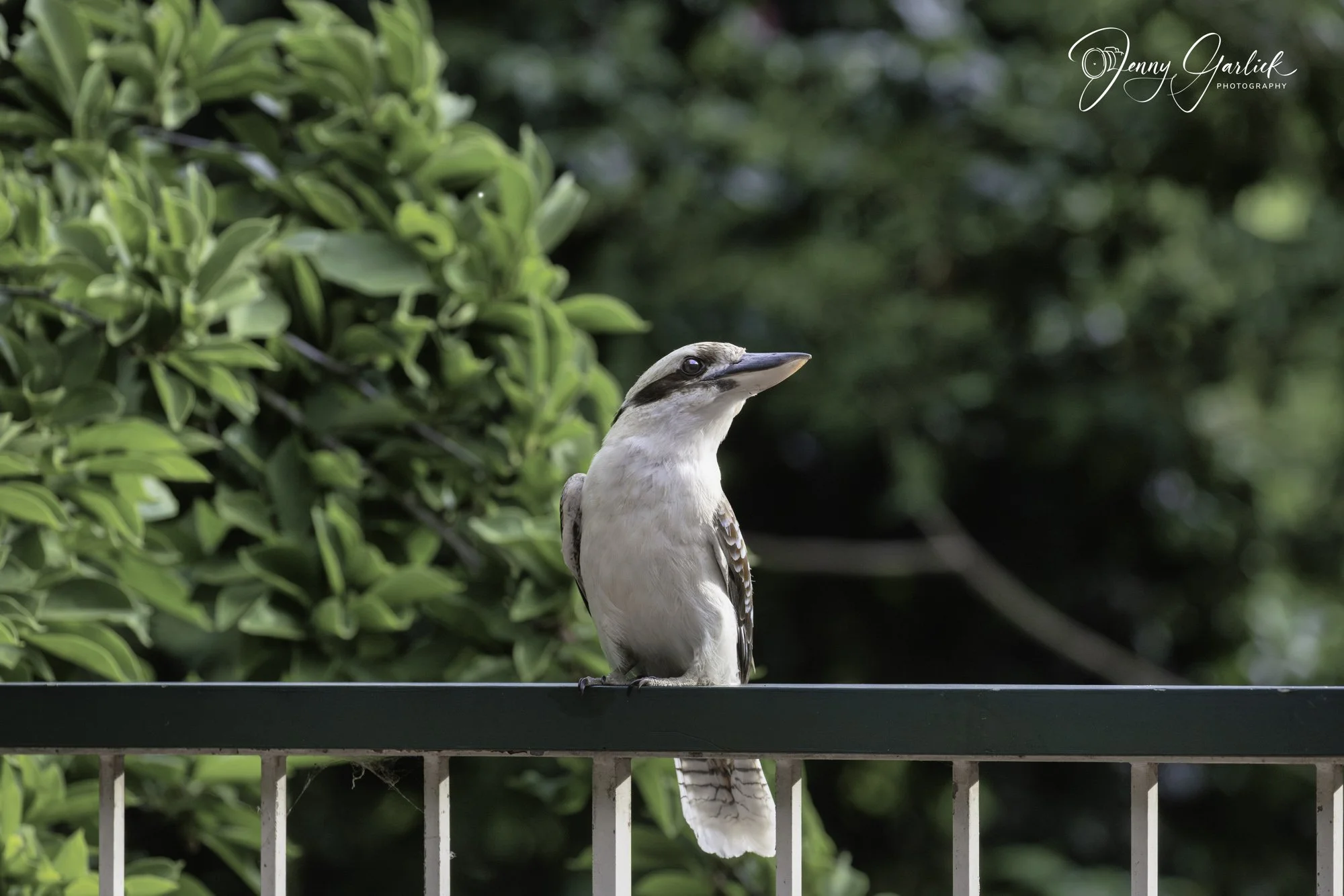 untitled (42 of 724)-Enhanced-NR-2-Edit-Edit-2.jpg