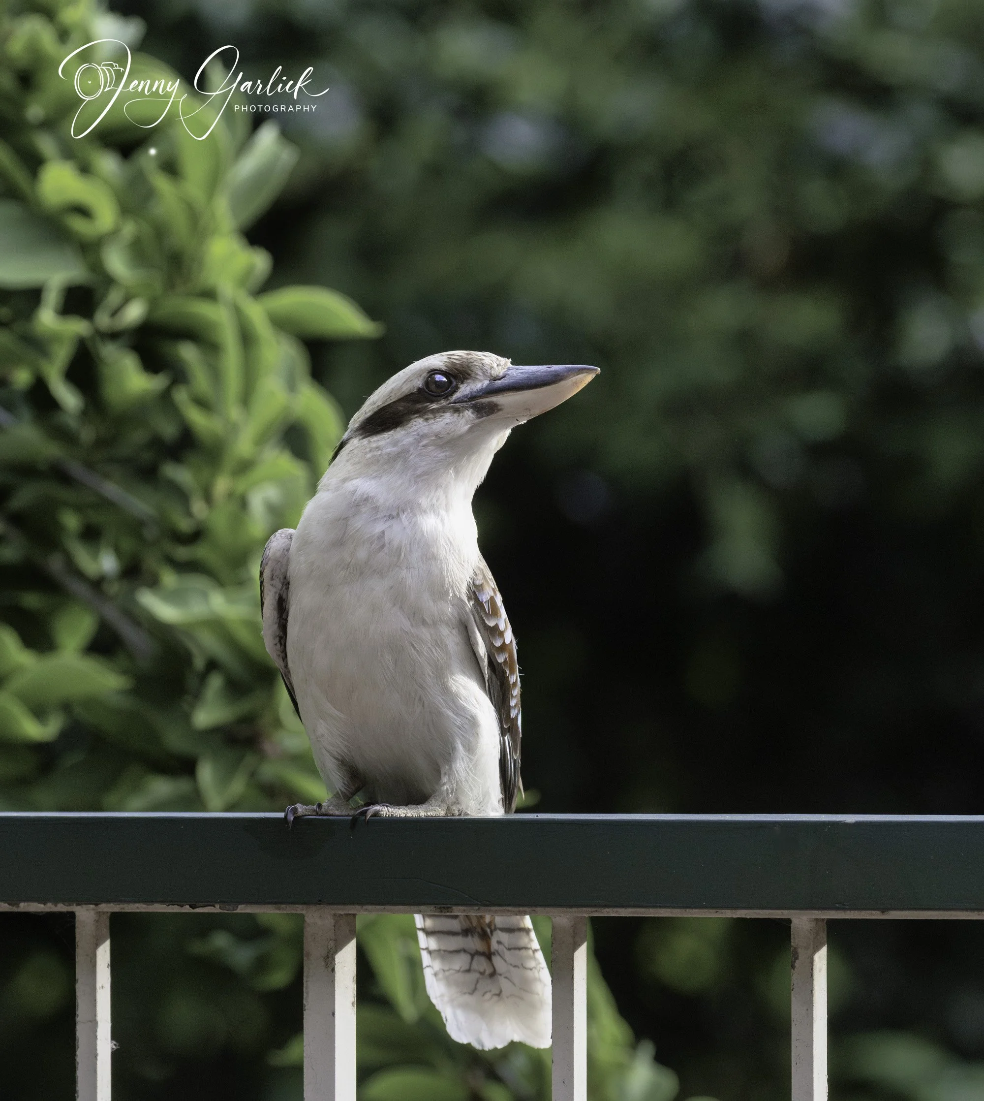 untitled (42 of 724)-Enhanced-NR-2-Edit-Edit-Edit.jpg