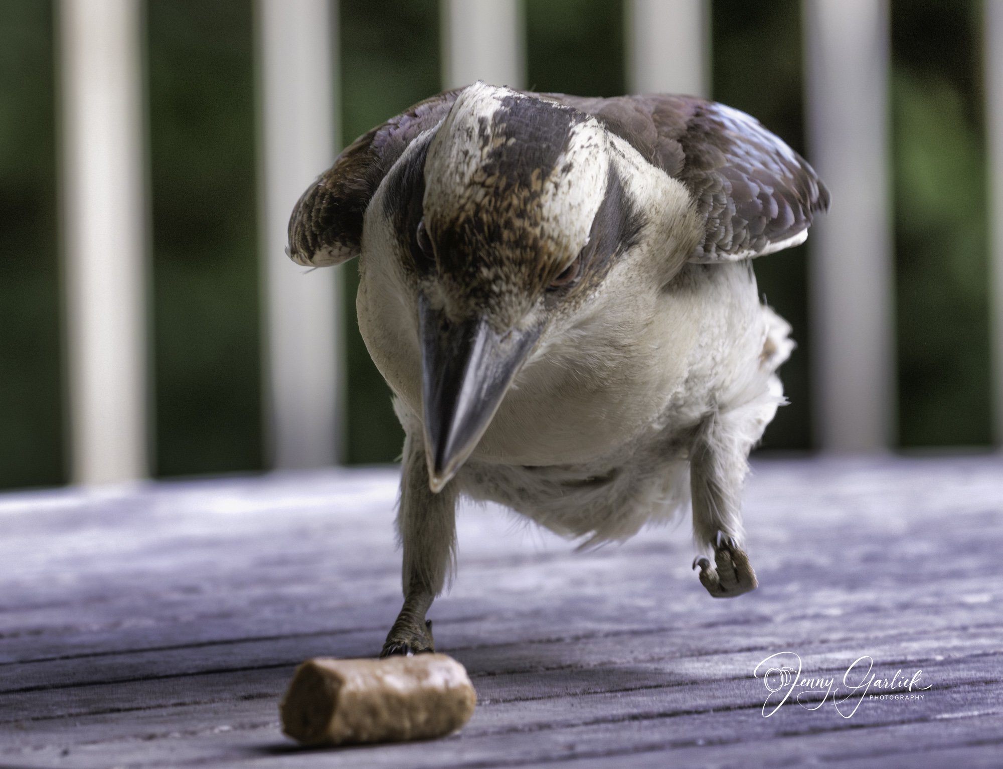 untitled (99 of 724)-Enhanced-NR-Edit-Edit.jpg