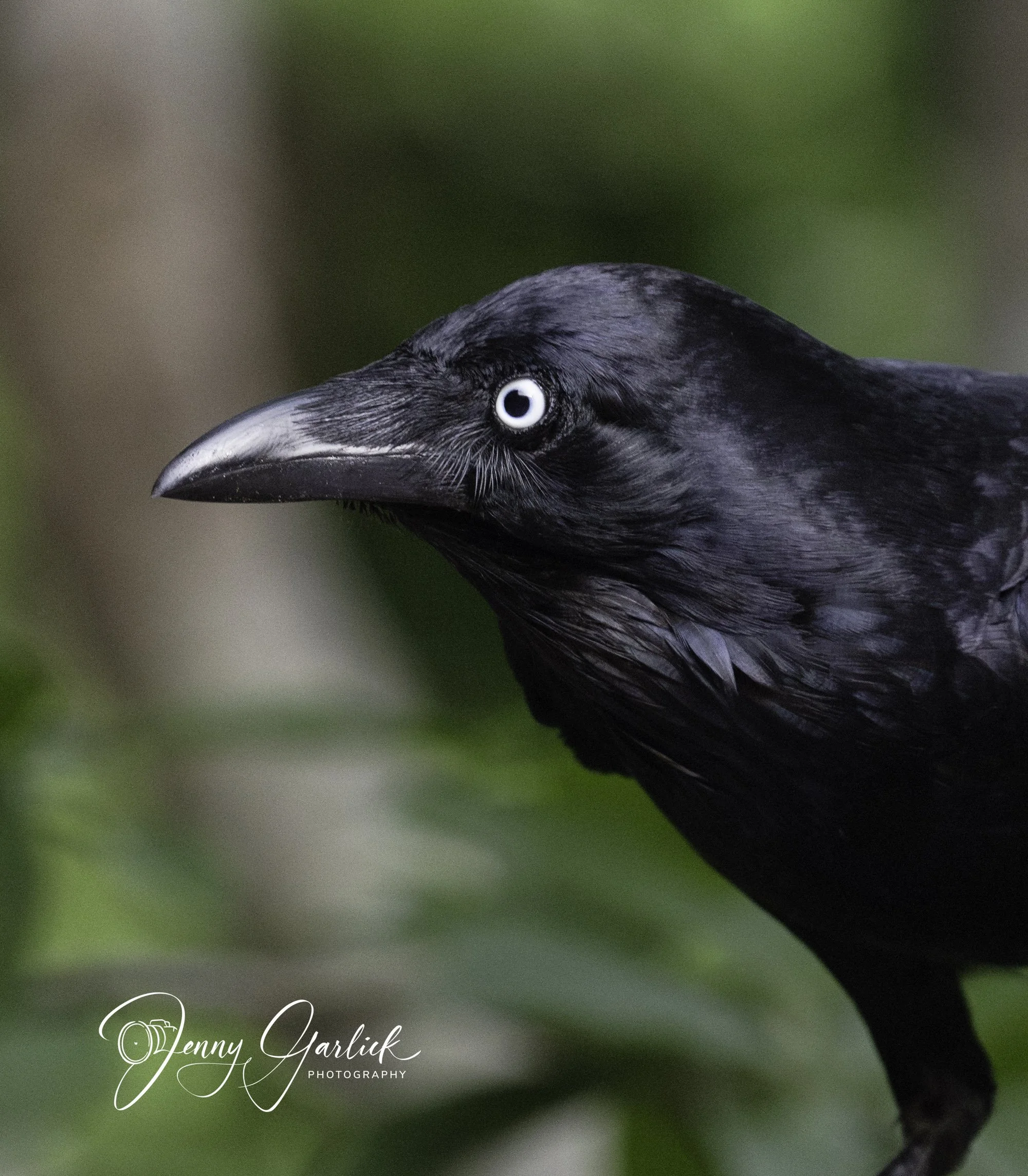 untitled (179 of 724)-Enhanced-NR-2-Edit-Edit-2.jpg