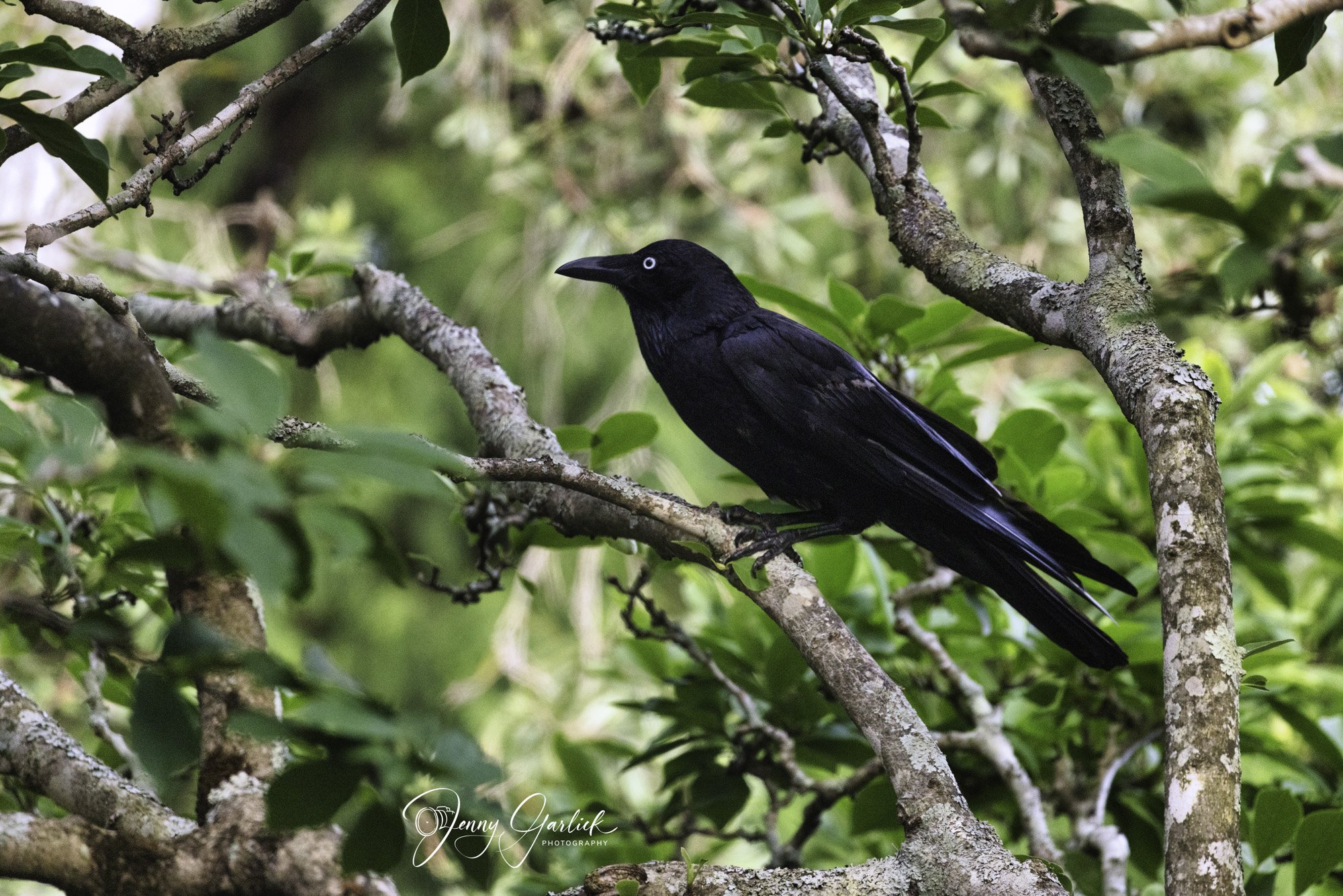 untitled (277 of 724)-Edit-Edit-2-Edit.jpg