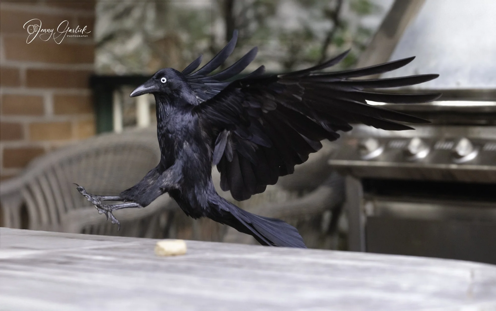 untitled (365 of 724)-Edit-Edit.jpg