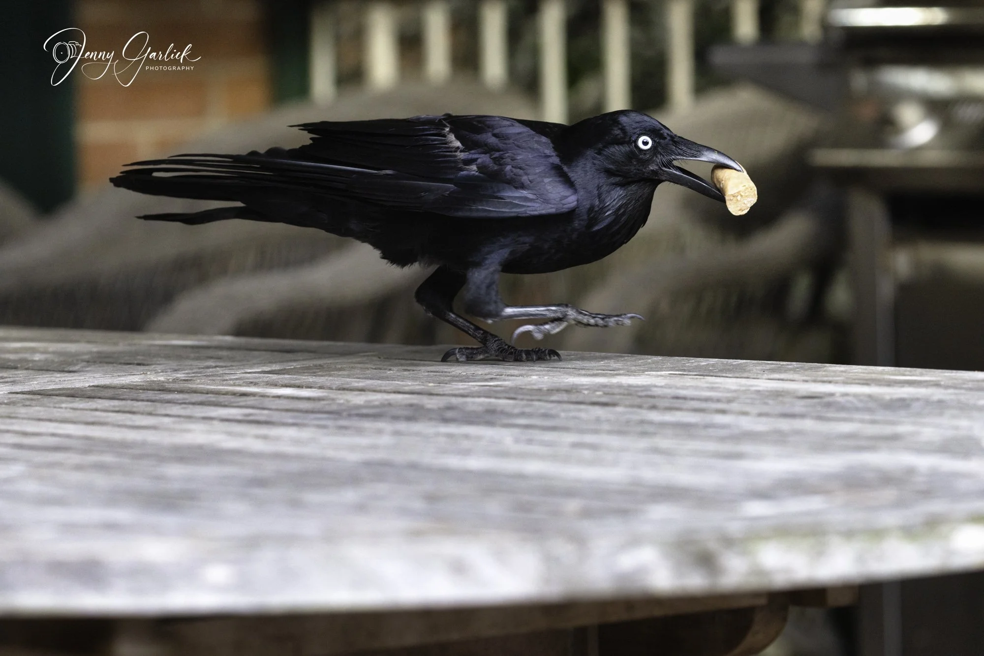 untitled (371 of 724)-Edit-Edit.jpg