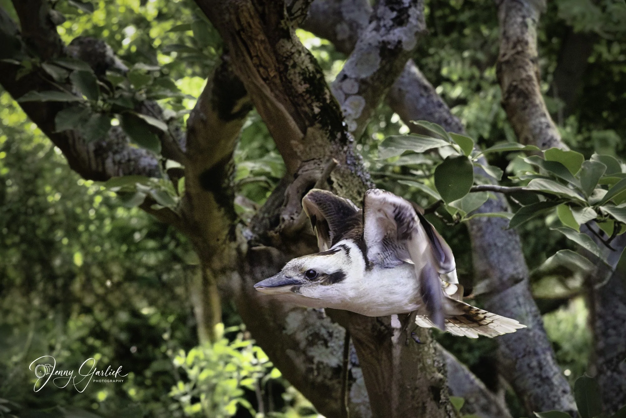 untitled (430 of 724)-Enhanced-NR-Edit-Edit-Edit.jpg