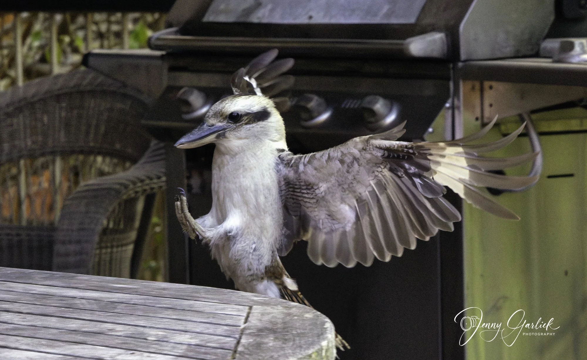 untitled (439 of 724)-Enhanced-NR-Edit-Edit.jpg