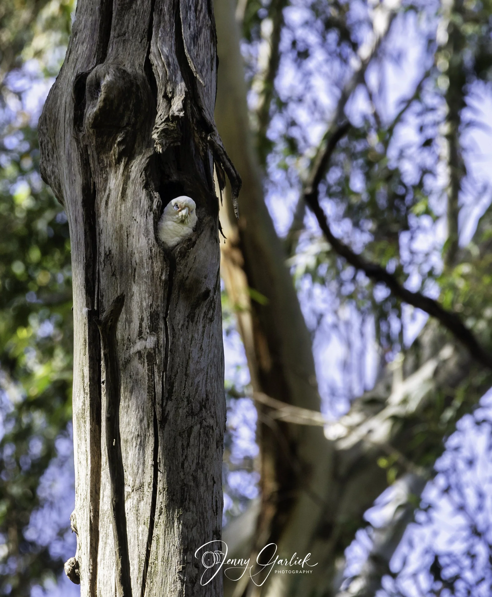 untitled (535 of 724)-Edit-1-Edit.jpg