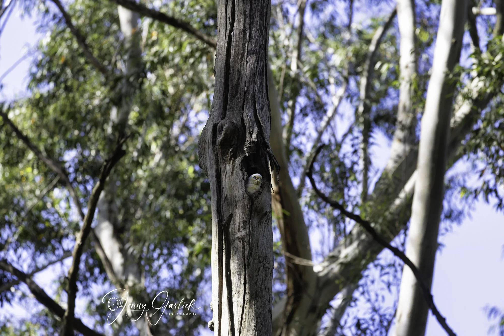 untitled (537 of 724)-Edit-Edit.jpg