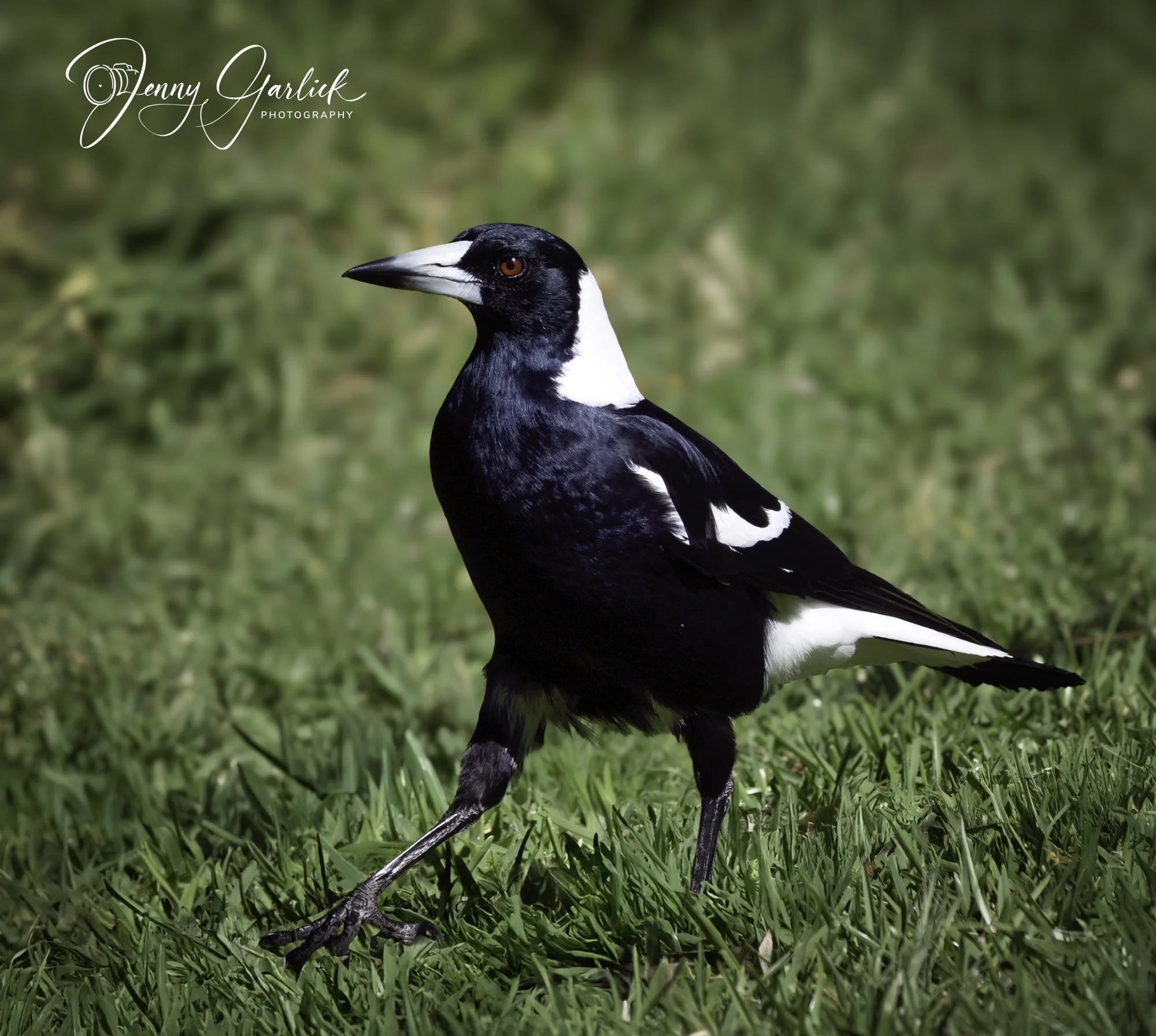 untitled (553 of 724)-Edit-Edit-2.jpg