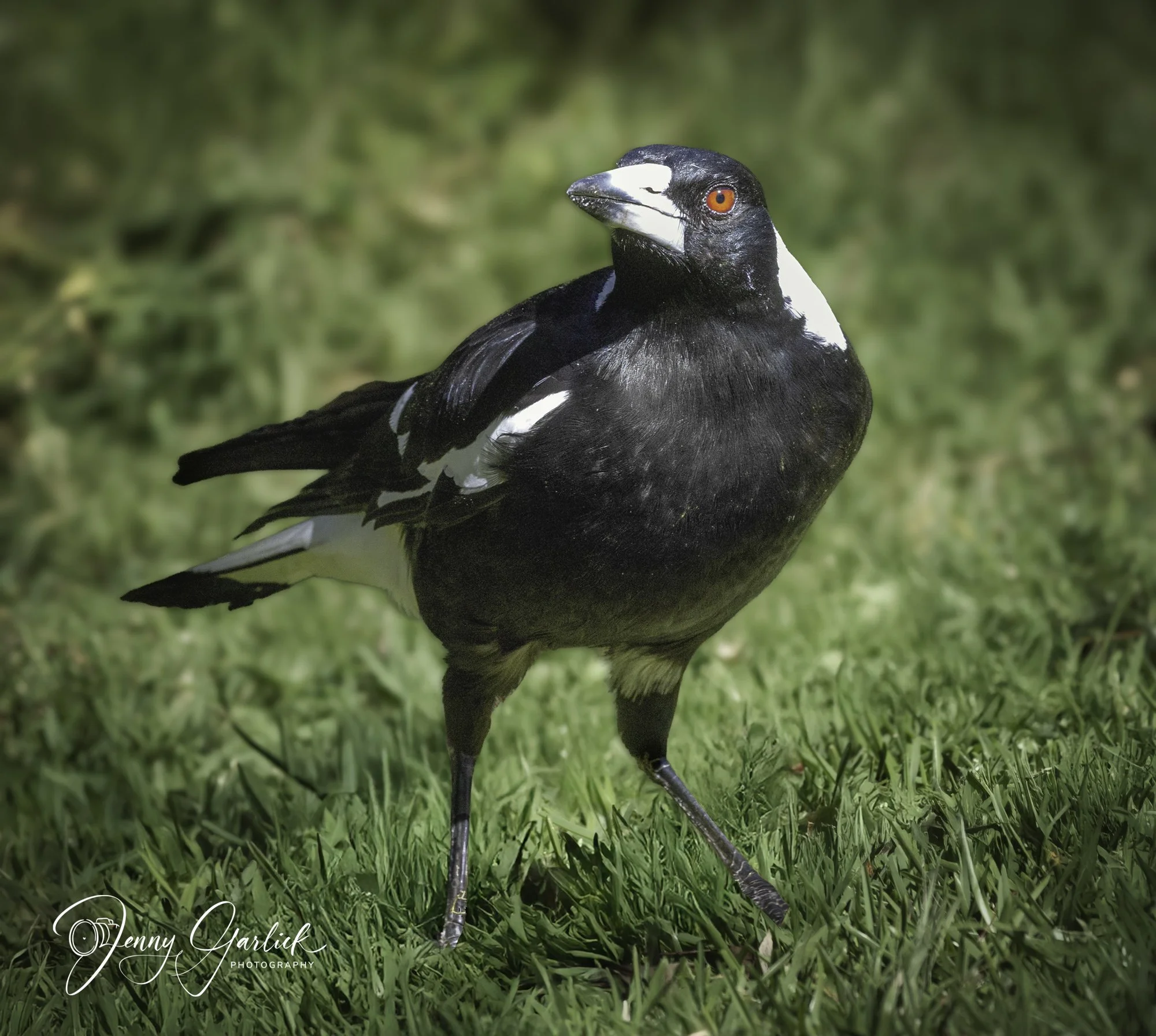 untitled (553 of 724)-Edit-Edit-Edit-Edit-Edit.jpg