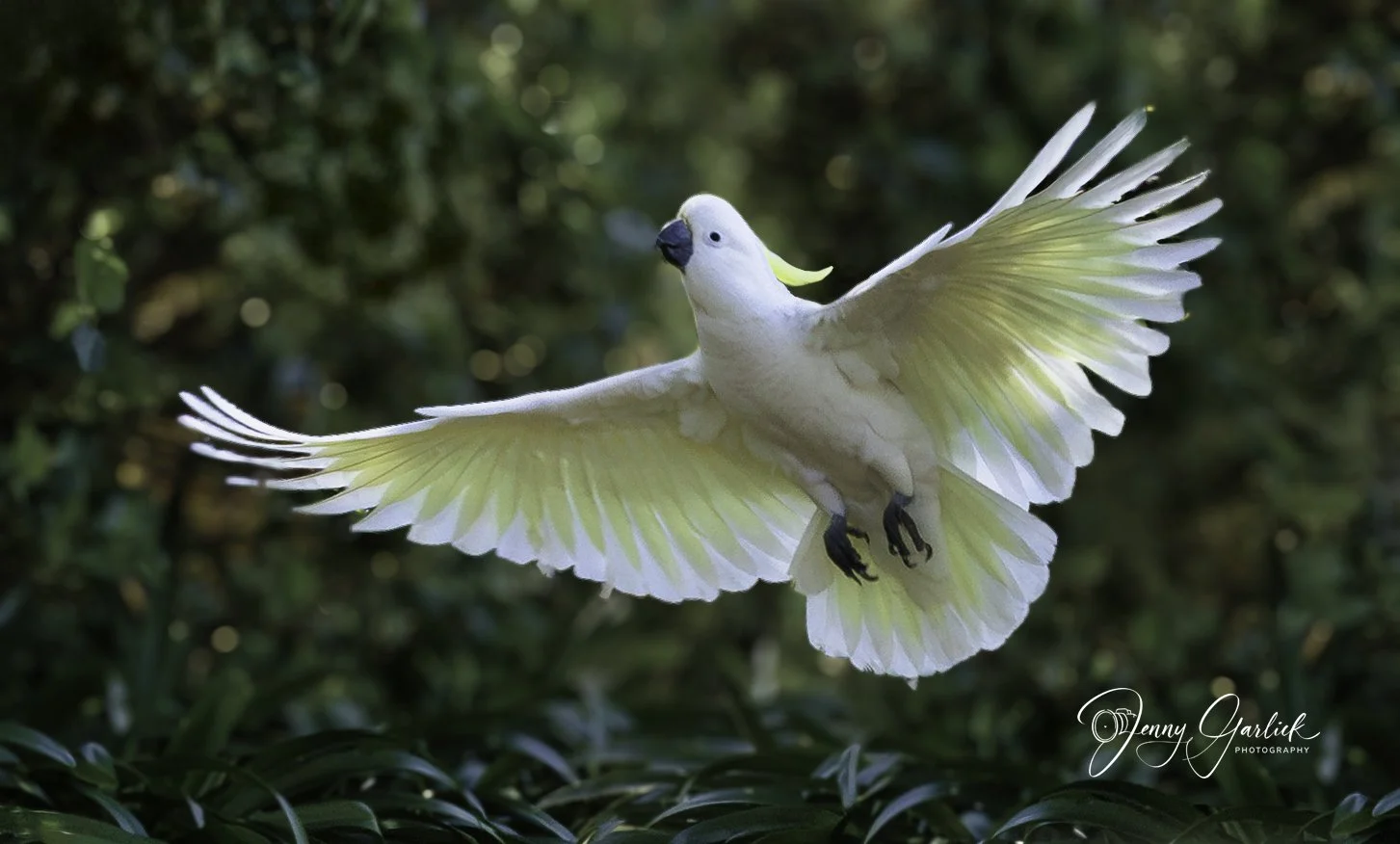 untitled (645 of 724)-Enhanced-NR-Edit-Edit-Edit-Edit.jpg