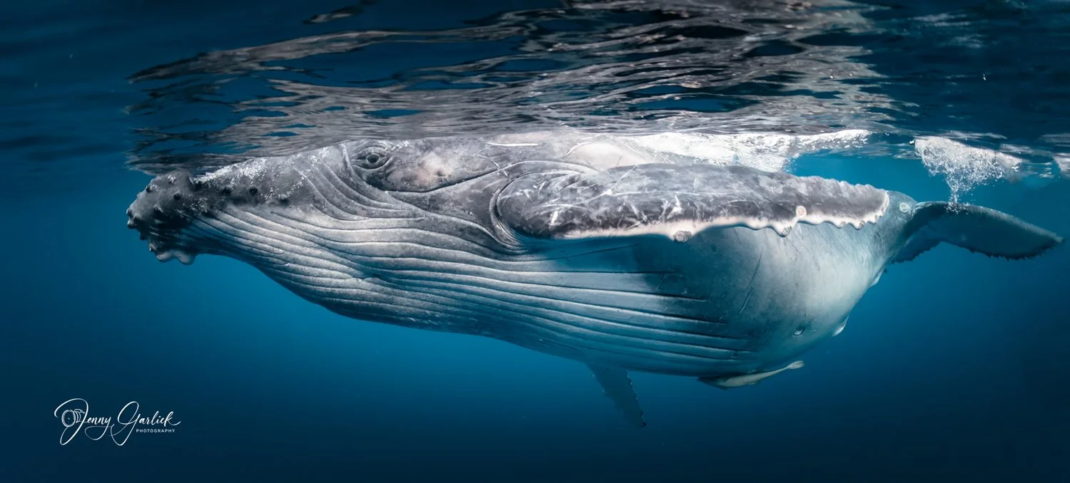 untitled shoot-102-Edit-2-Edit.jpg